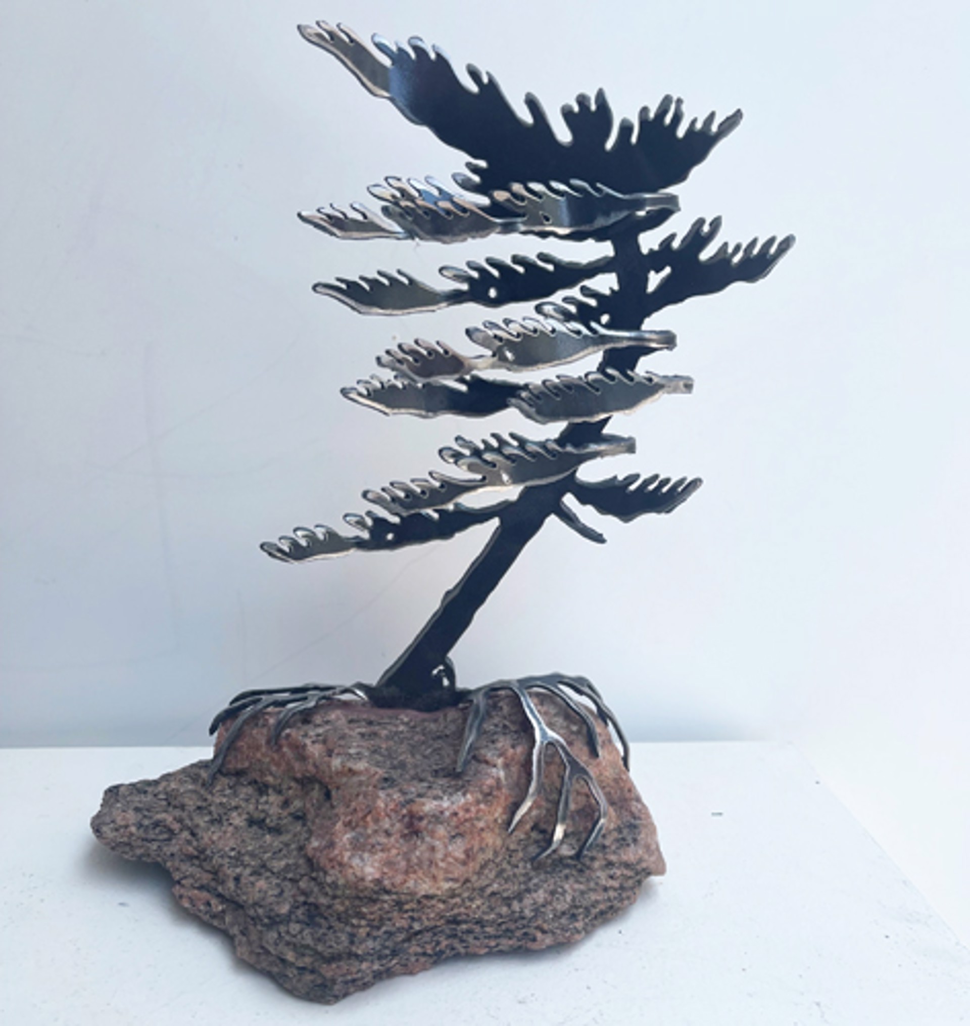 Windswept Pine 659759 by Cathy Mark