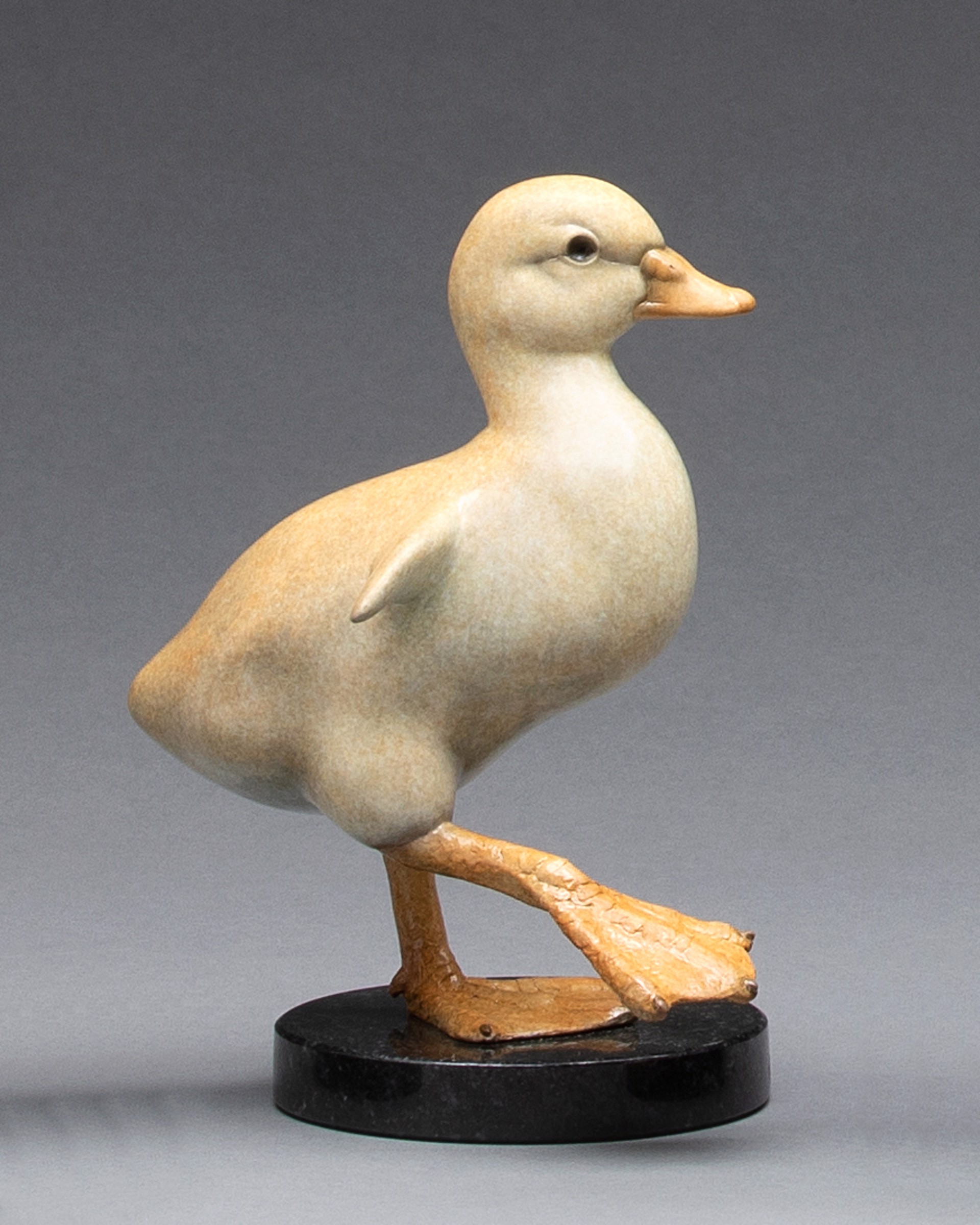 Duckling - Duck Walk by Joshua Tobey