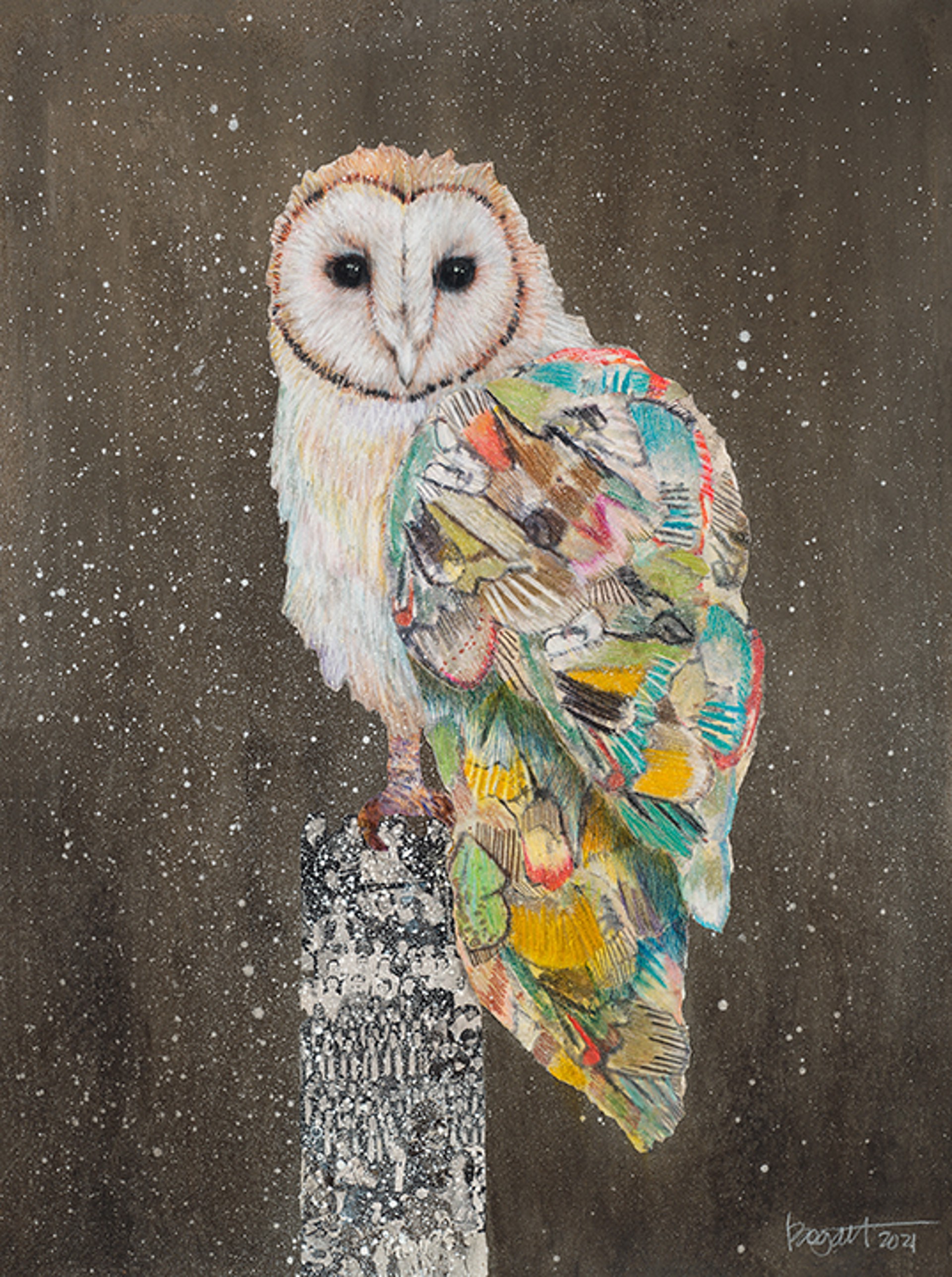 Barn Owl on a Snowy Night 2 by Brenda Bogart - Prints