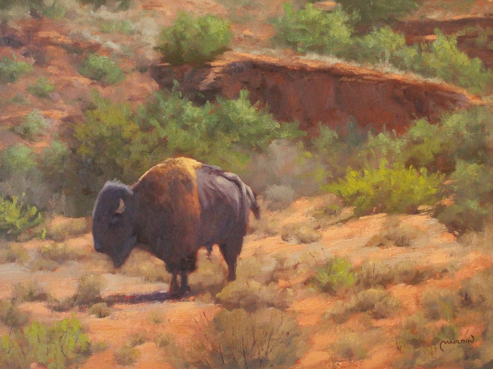 Lone Bull at Caprock by Chuck Mauldin