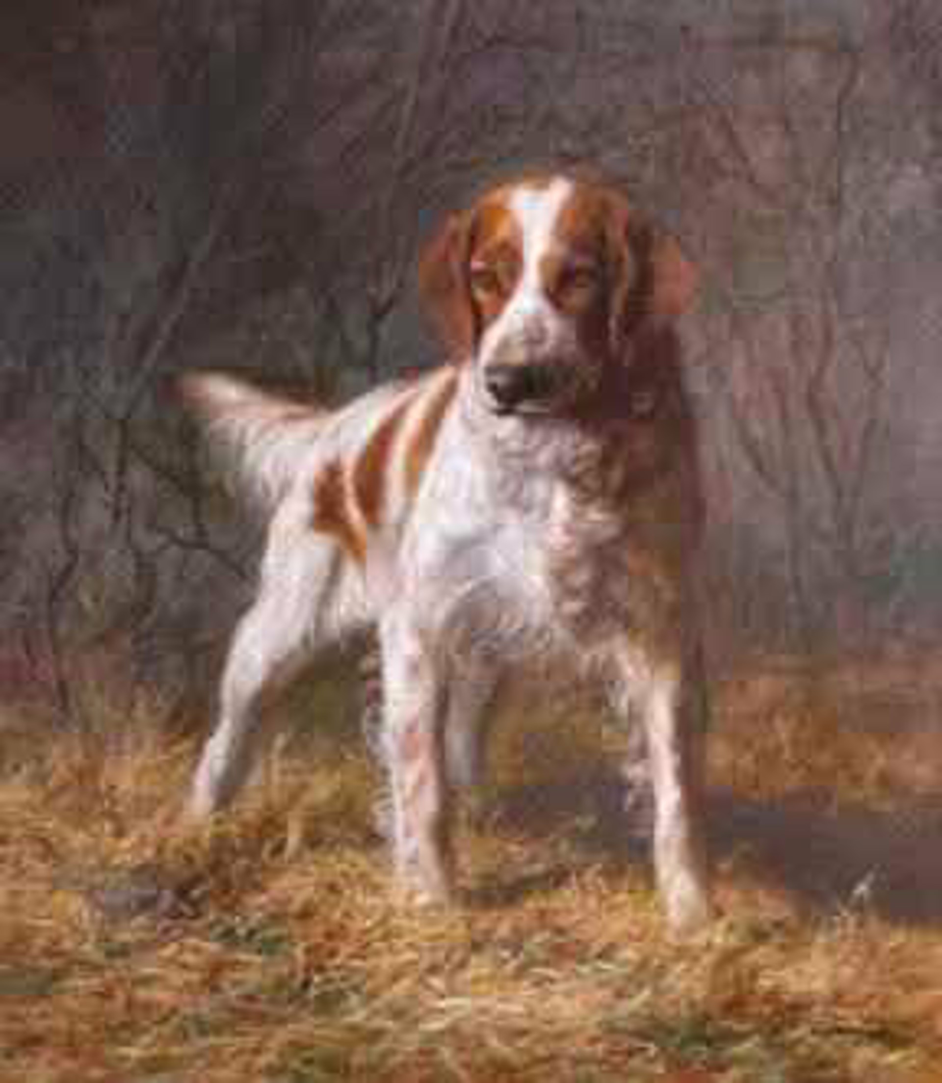 Setter in a Wooded Landscape by Franklin Whiting Rogers