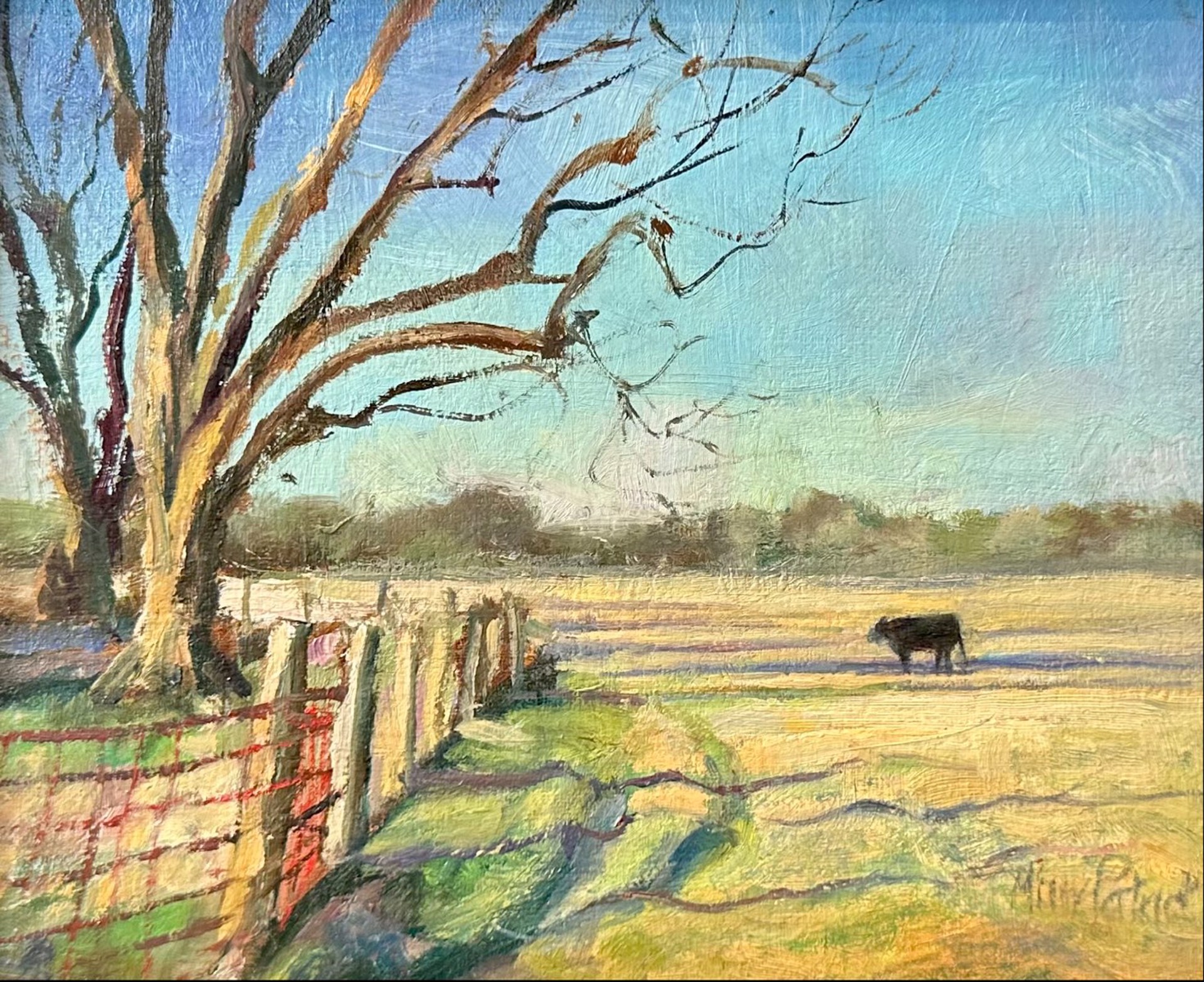 Pecan Trees and Bull (framed) by Missy Patrick