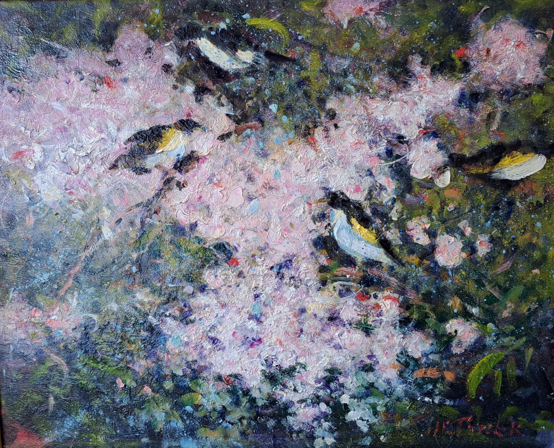 Finches by John Terelak