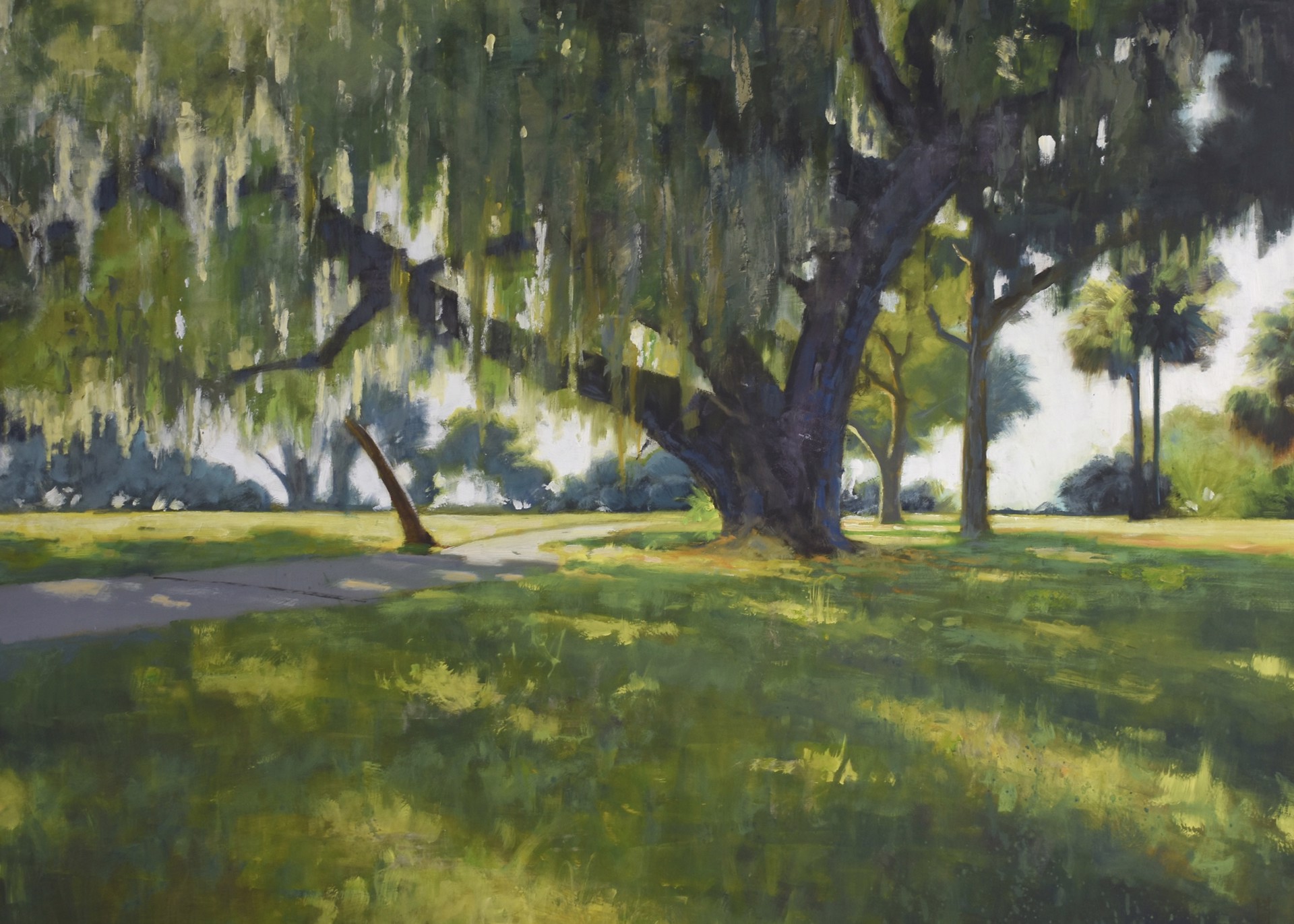 Through the Spanish Moss by Steven Walker