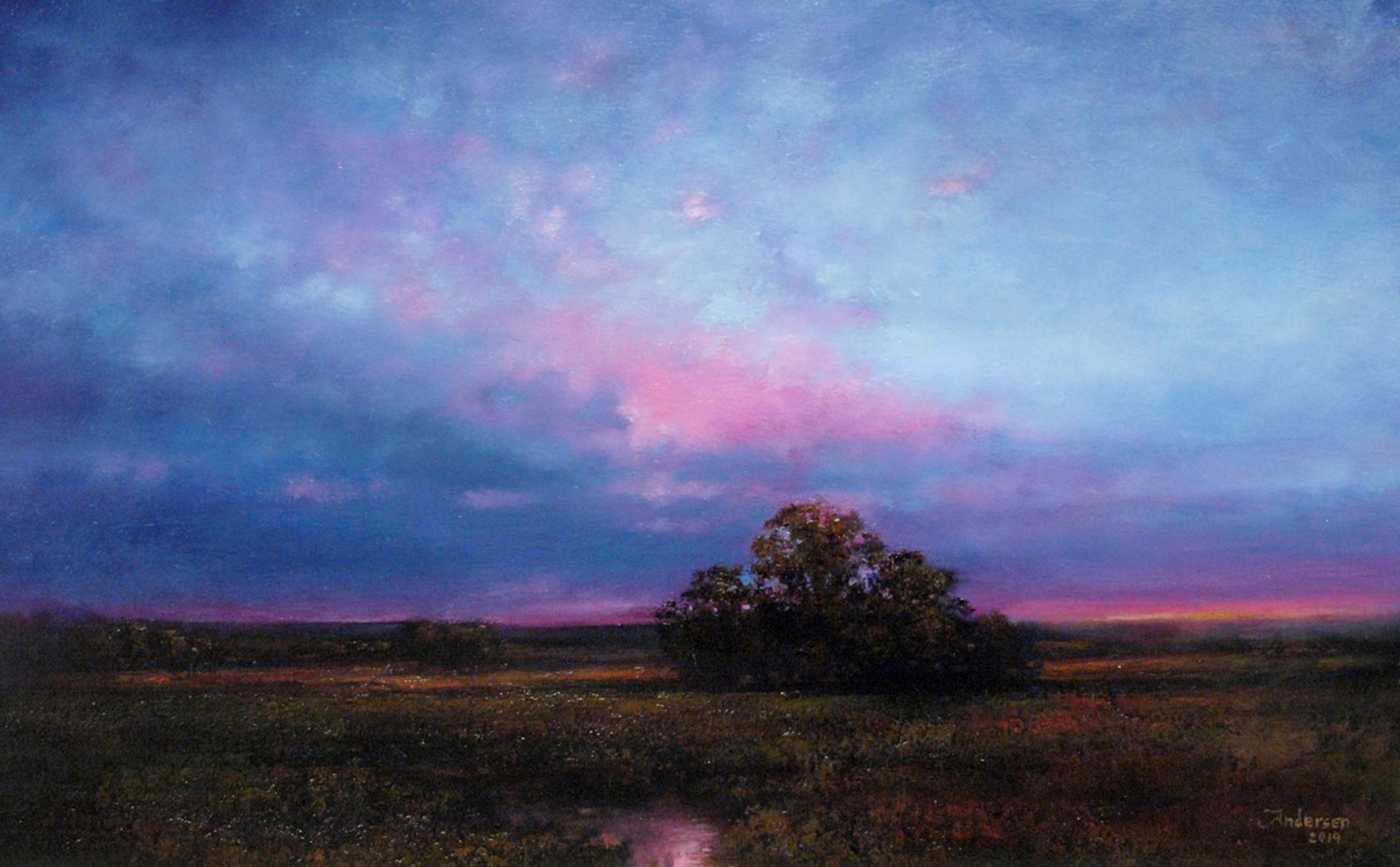 Twilight Fields by John Andersen