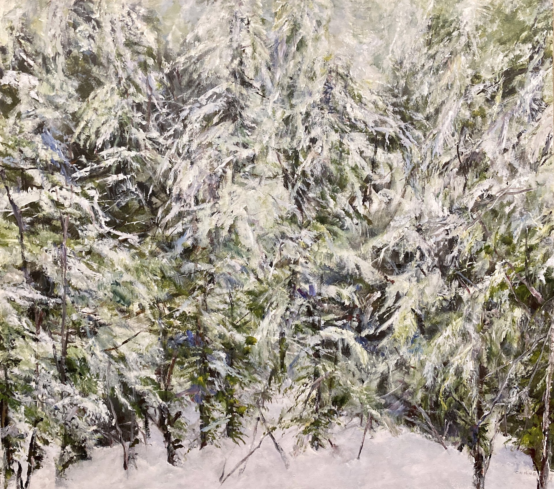Fresh Snow by Judy Cheng
