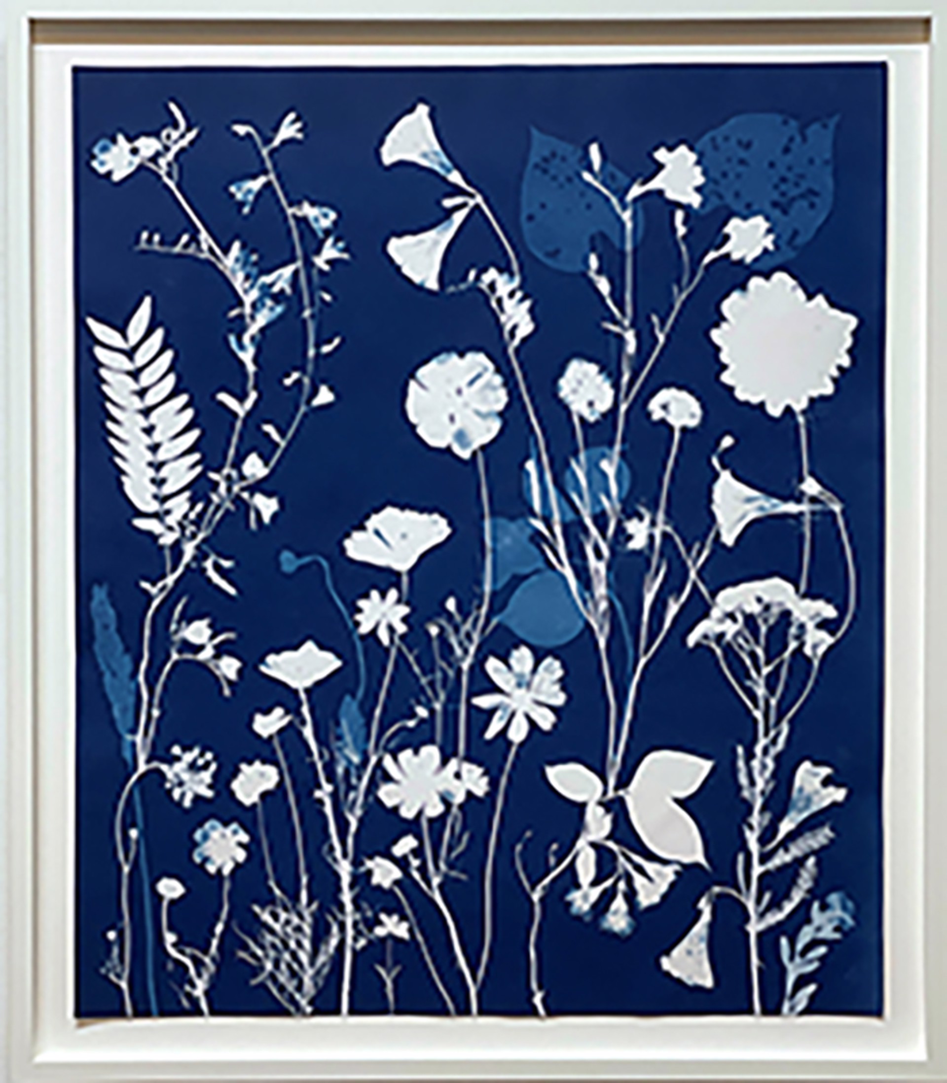 Cyanotype Painting (Cosmos, Morning Glory, Leaves, etc) by Julia Whitney Barnes
