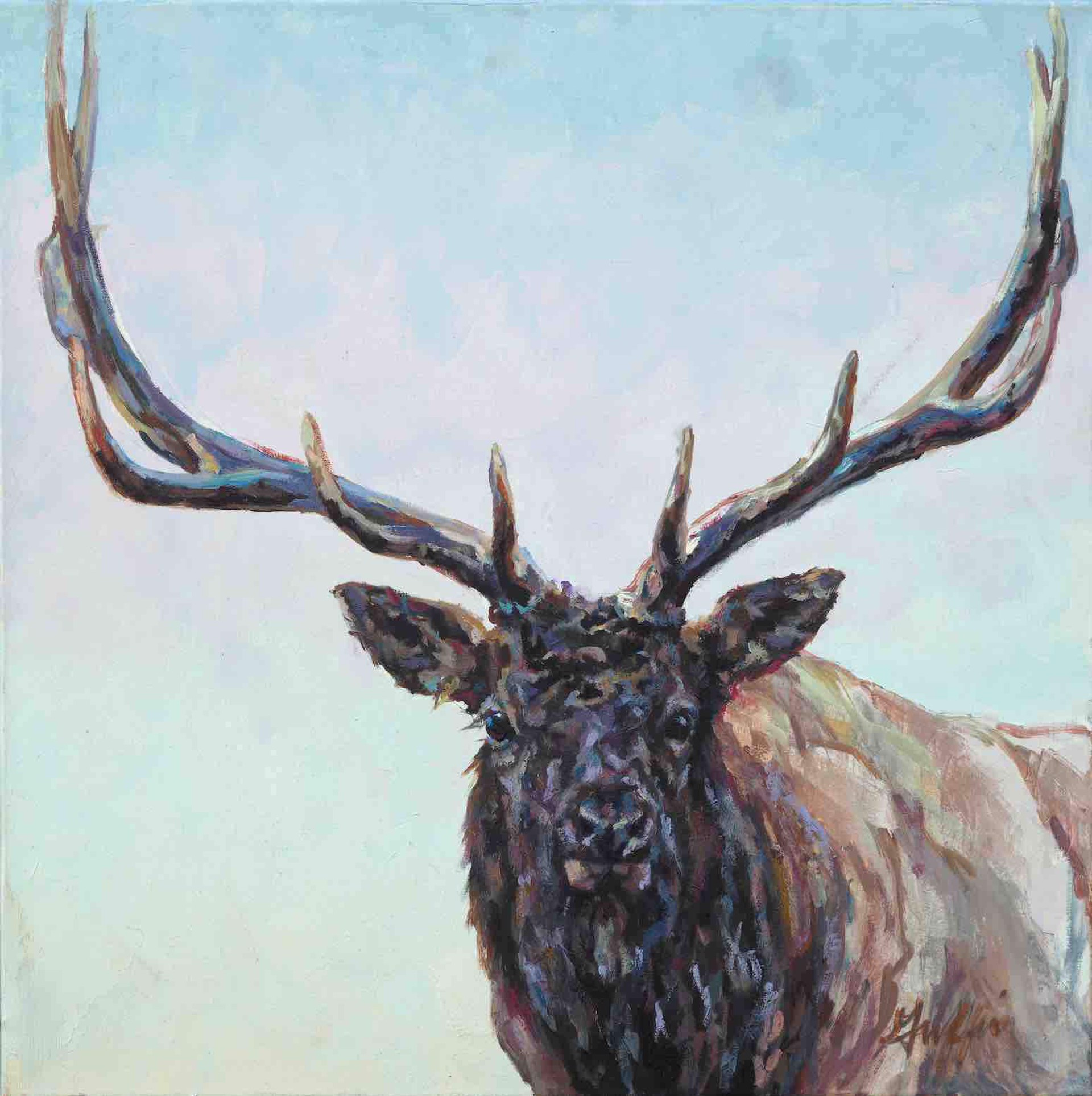 Bull Elk Oil Painting By Patricia Griffin In Soft Colors At Gallery Wild