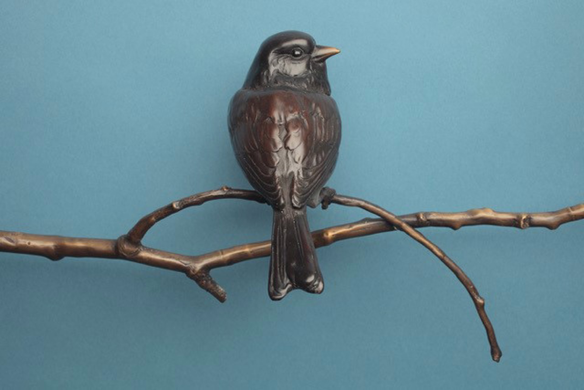 Bird's Eye View by Melissa Cooper