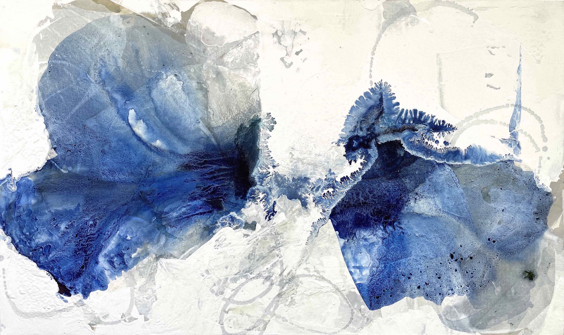 Blue Blooms by Liz Barber