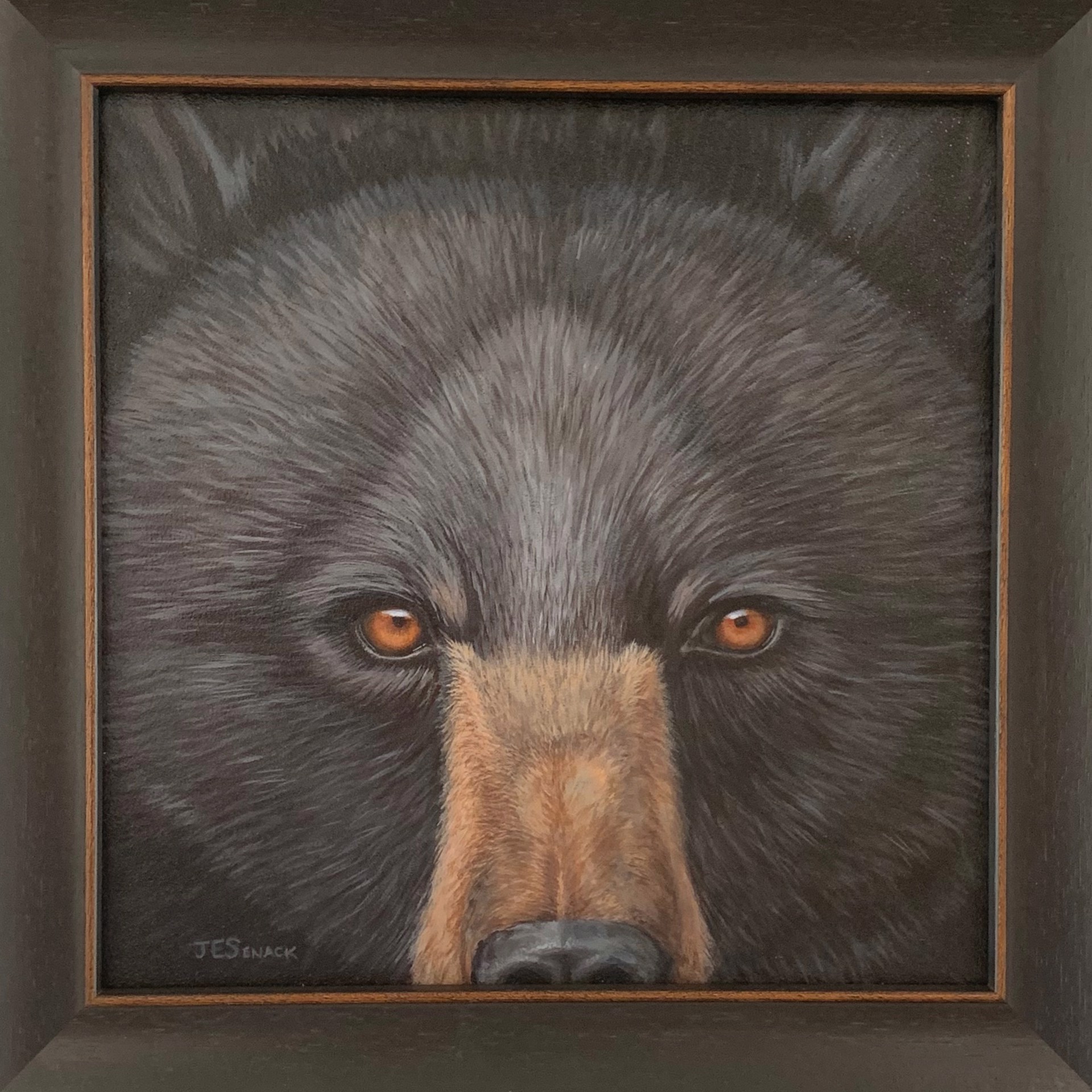Black Bear Eyes by J.Elaine Senack
