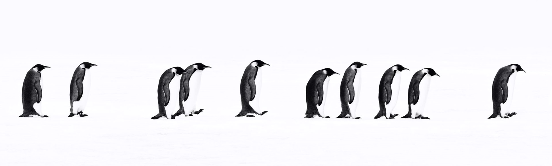 The Long March by David Yarrow