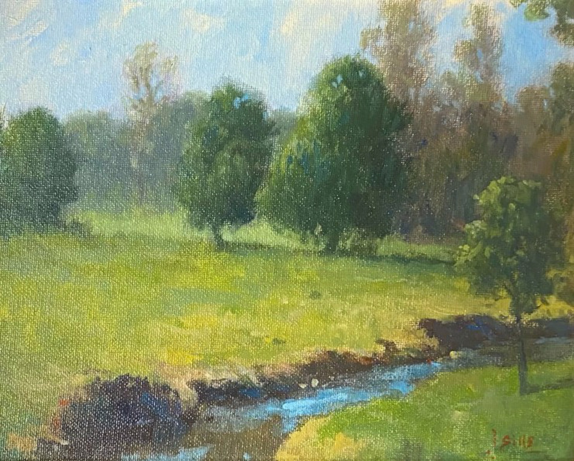 Pasture Stream by John Brandon Sills