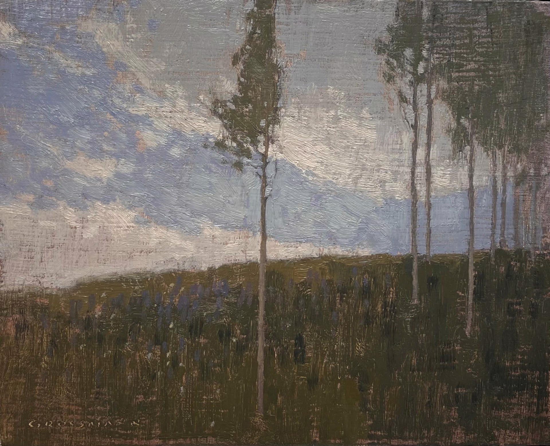 Early Summer Aspen and Clouds by David Grossmann