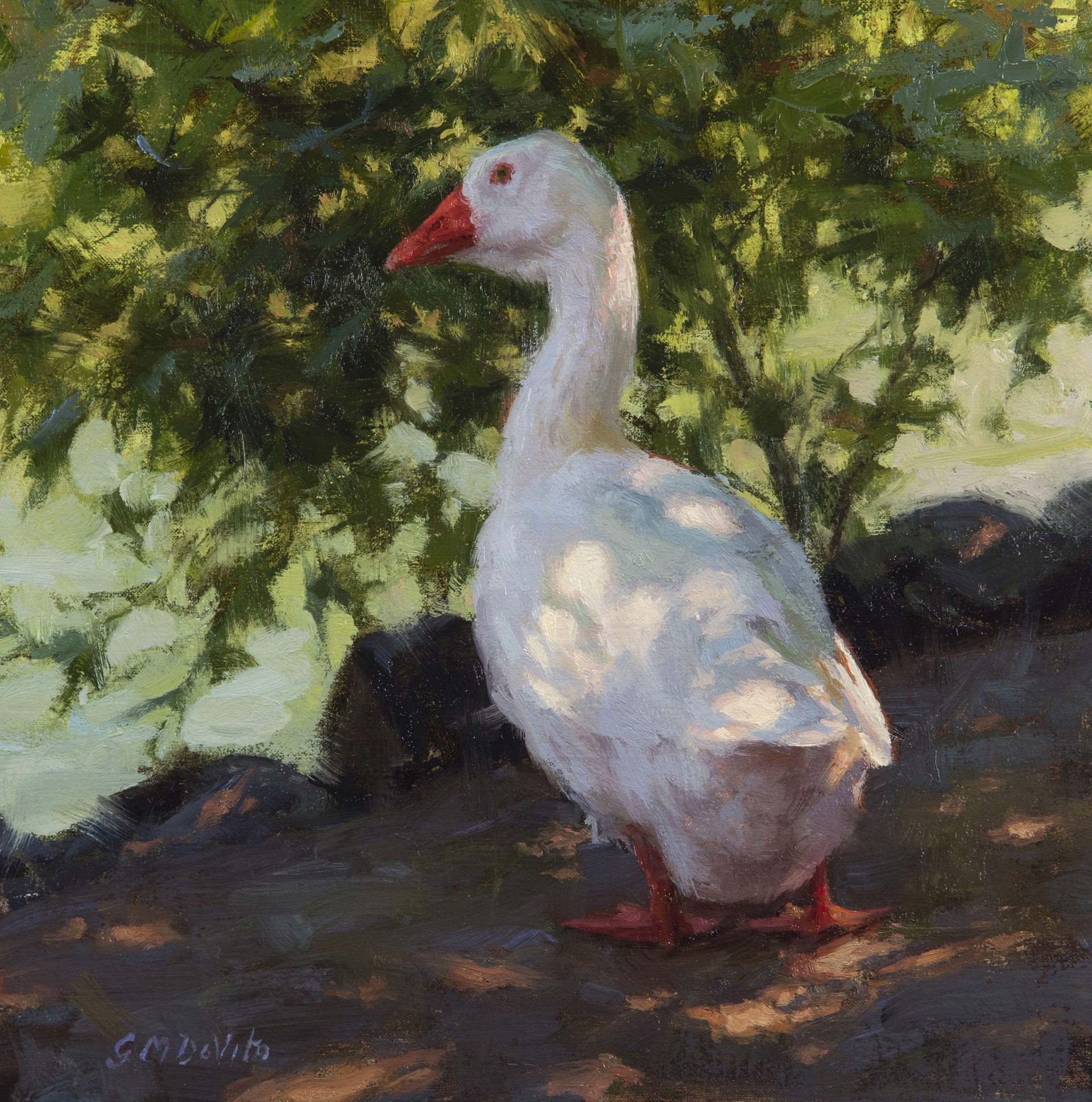 Goose in Dappled Light by Grace Devito