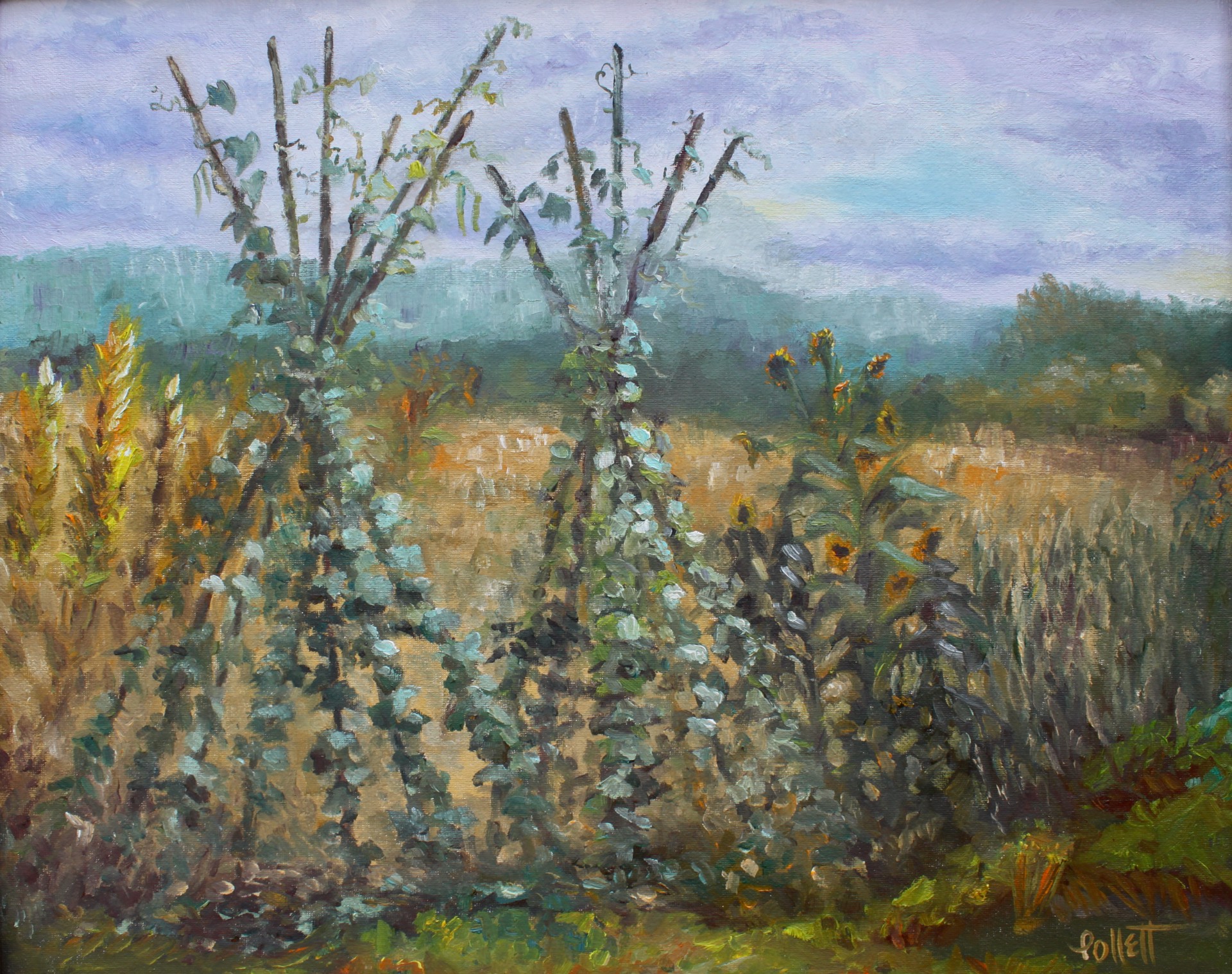 Leftover Garden by Cynthia Jewell Pollett