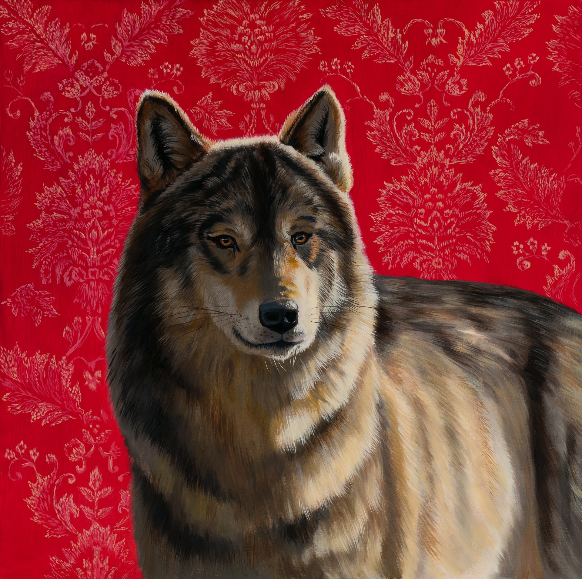 Portrait of a Wolf by Robin Hextrum