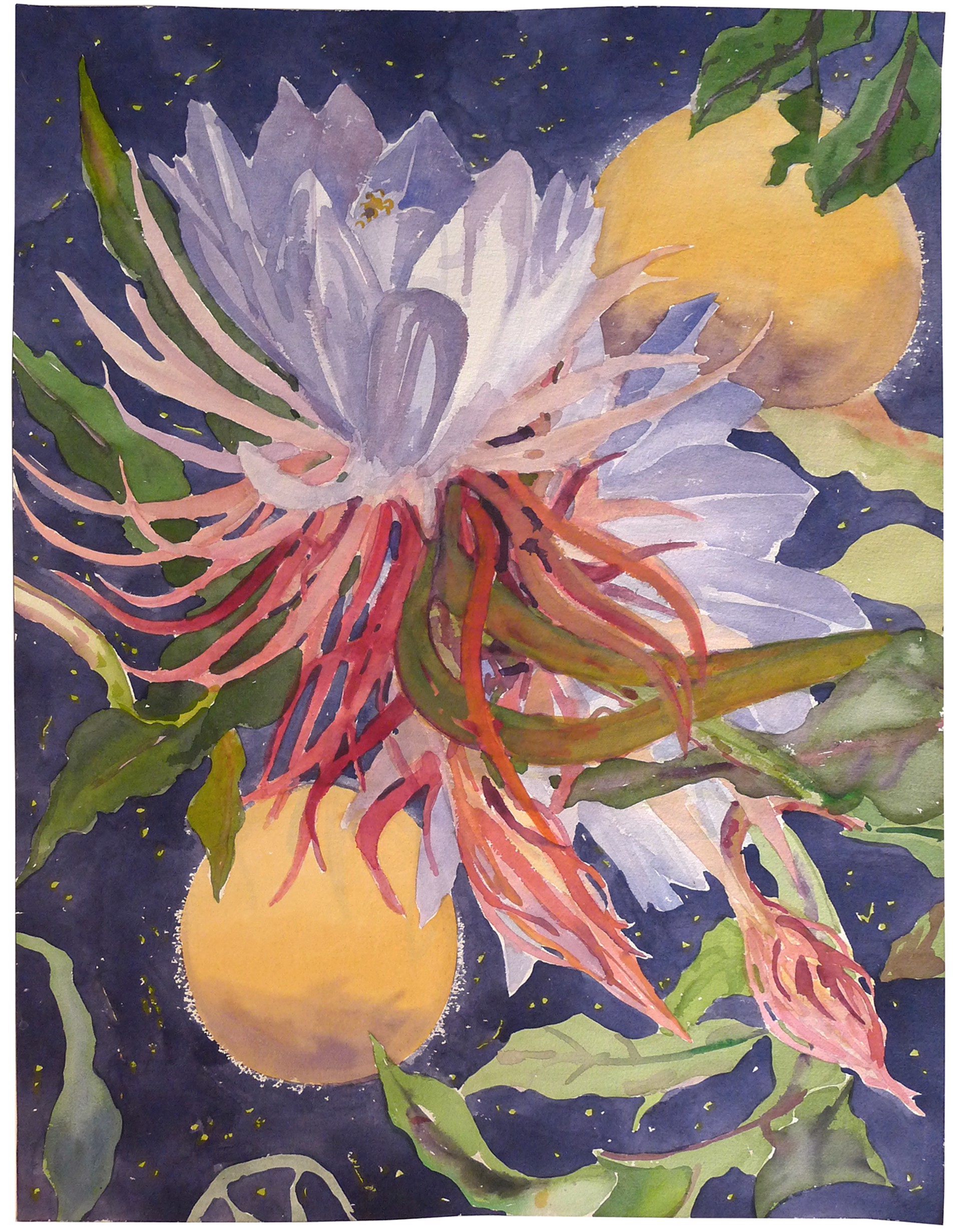 Night Blooming Cereus with Yellow Moons by Sheila Gardner
