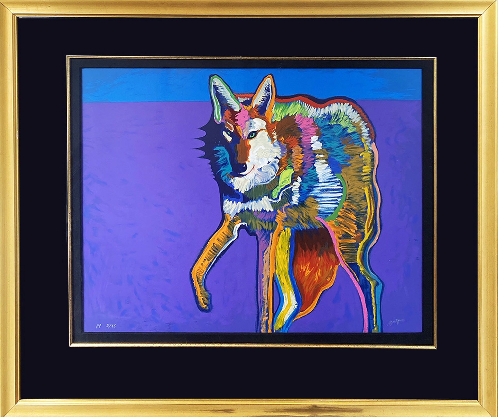 Coyote by John Nieto
