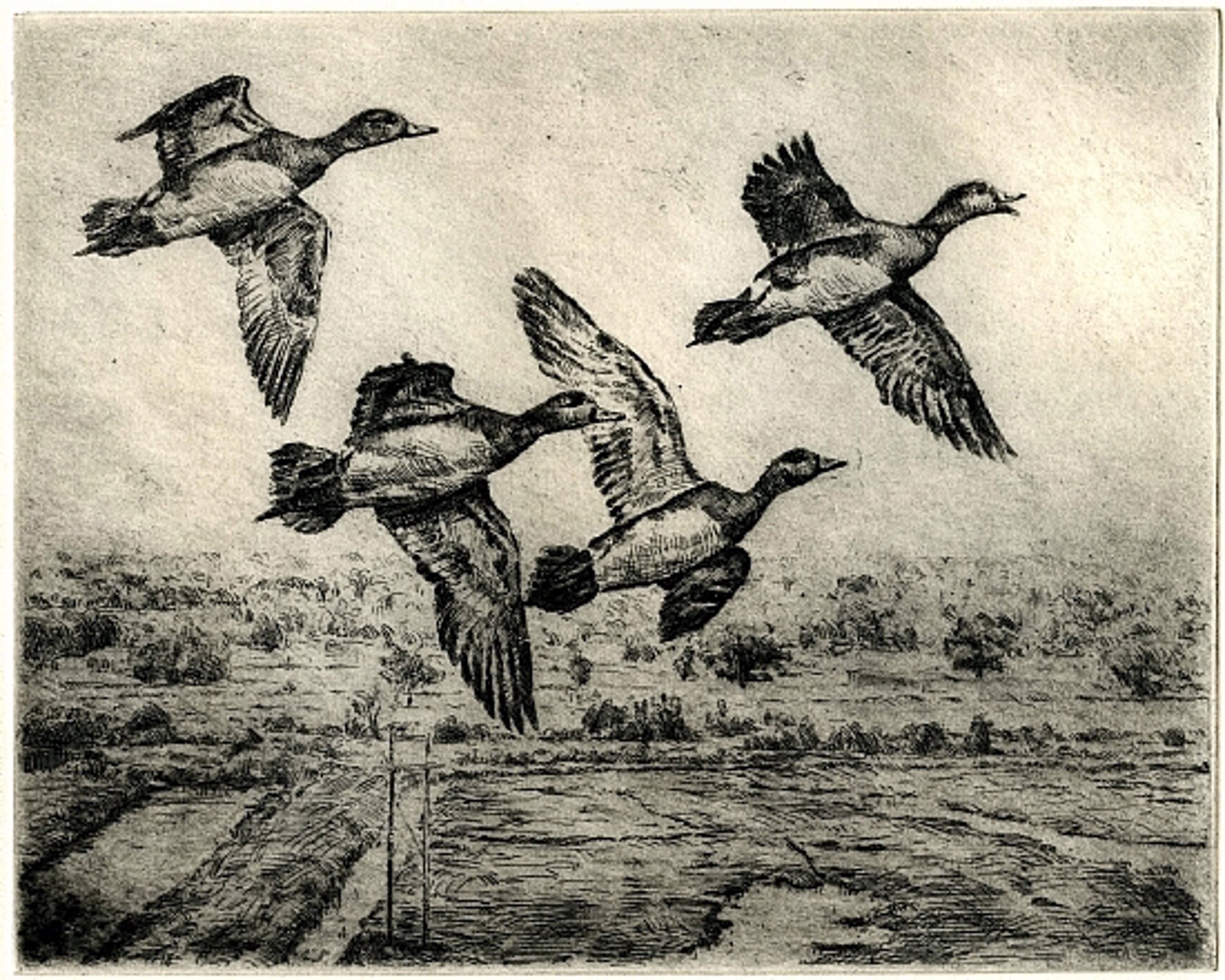 Gordon M. Allen | The Sportsman's Gallery Ltd. & Paderewski Fine Art