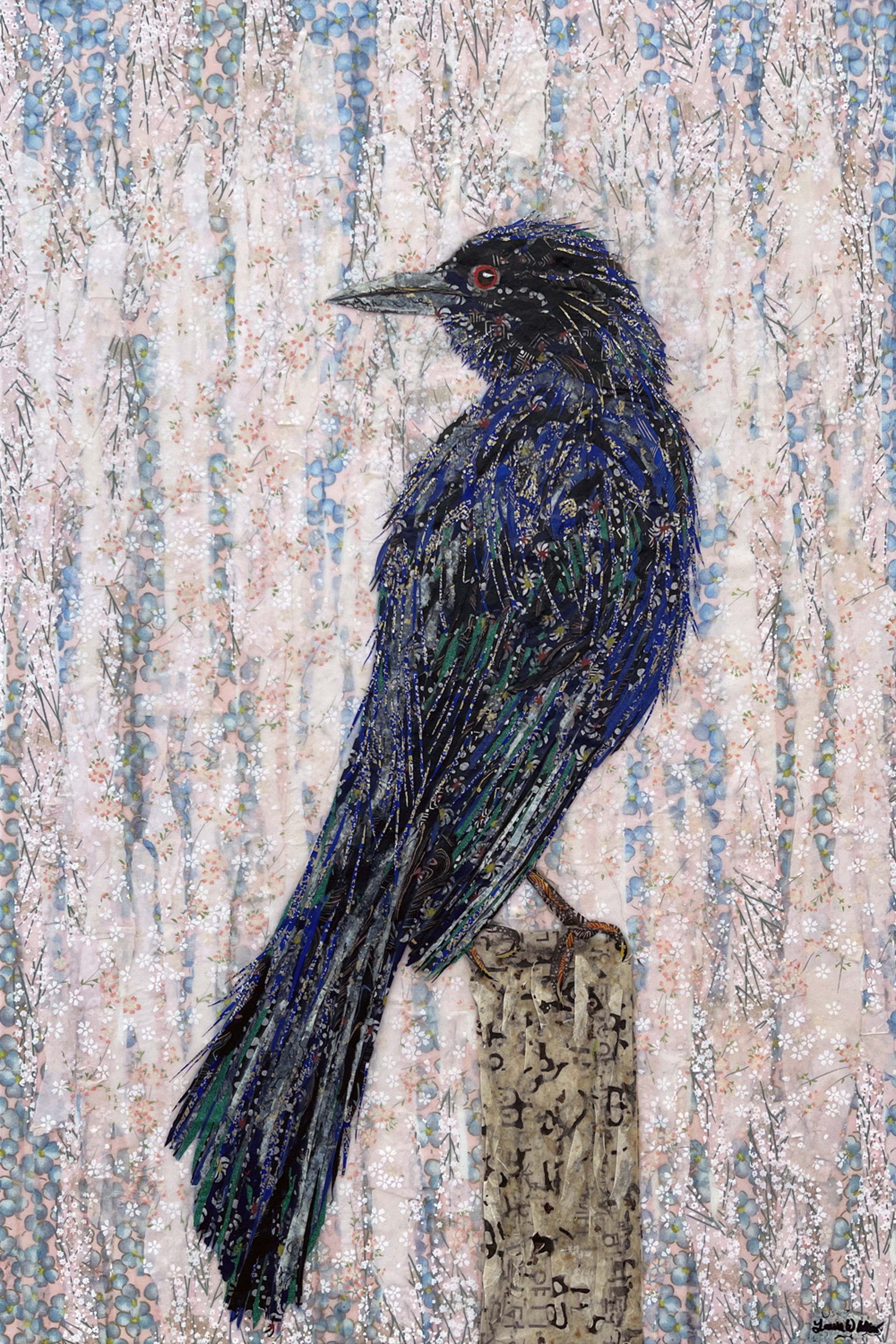 Long-tailed Grackle by Laura Adams