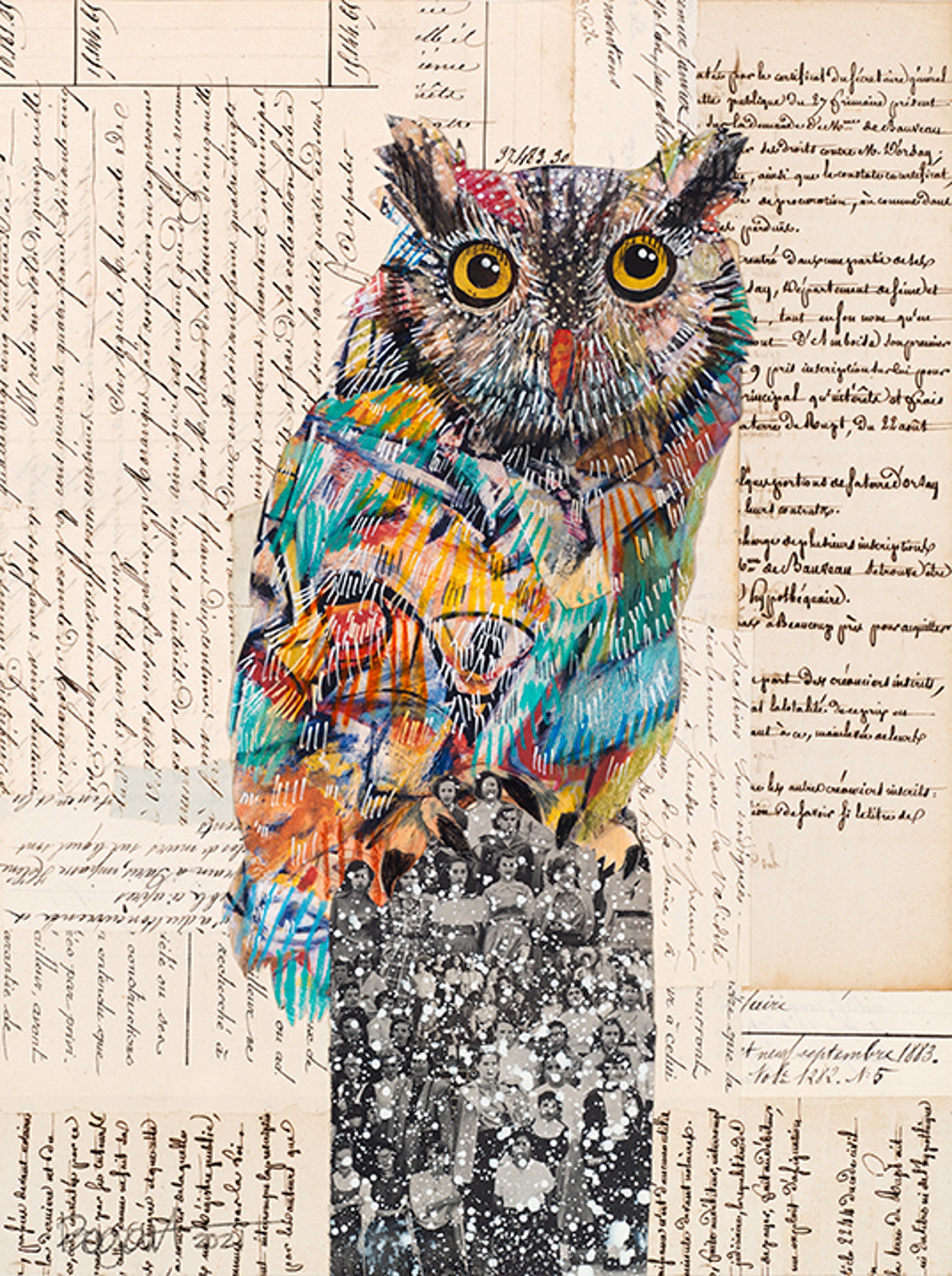 Screech Owl VIII (archival print) by Brenda Bogart
