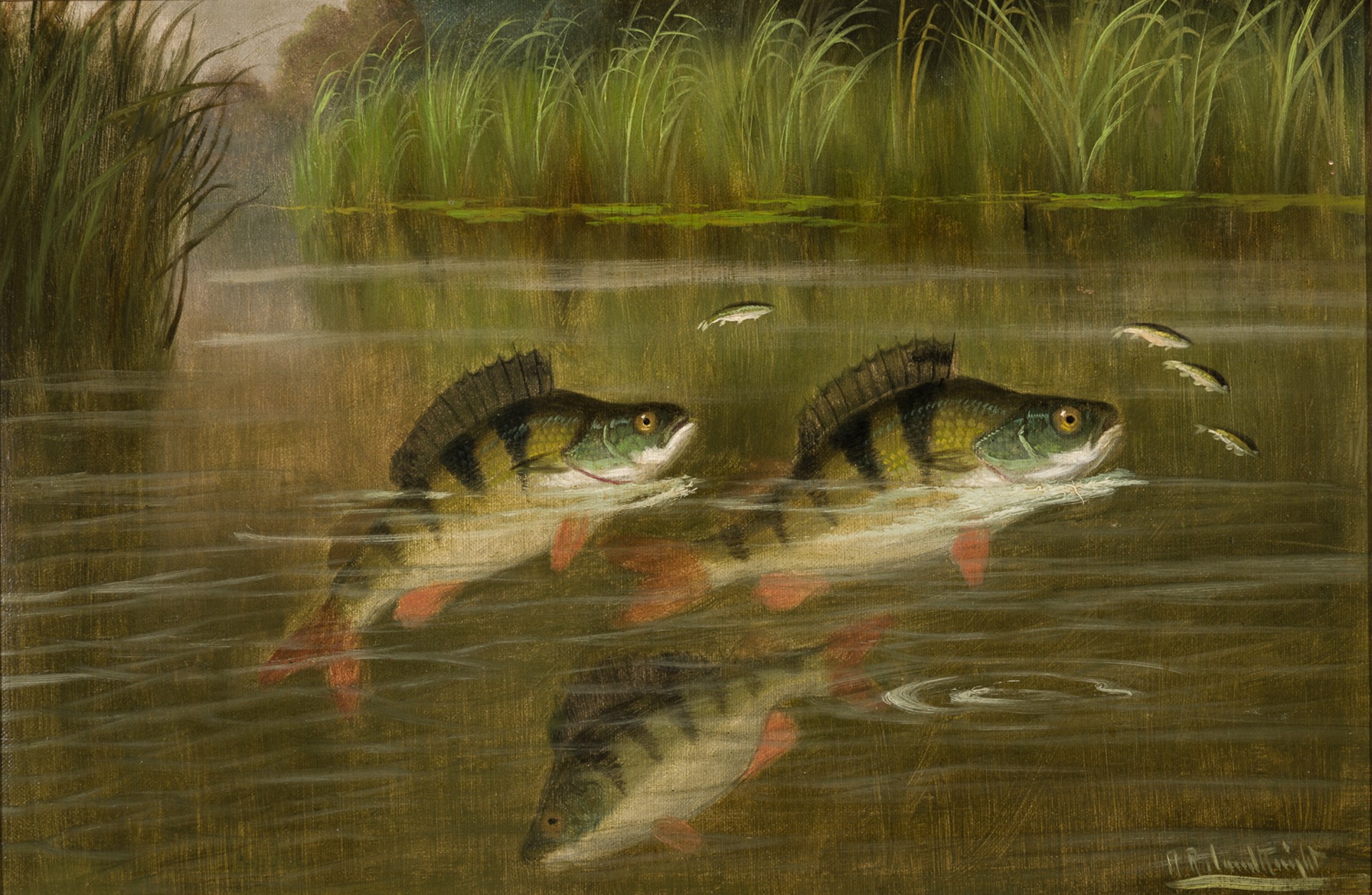 WHIPPING THE WILLOWS FOR CHUBB (a pair) by A. Roland Knight