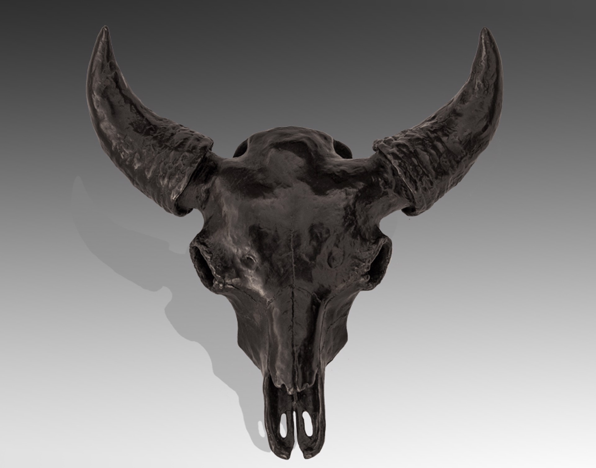 Bison Skull by Mike Barlow