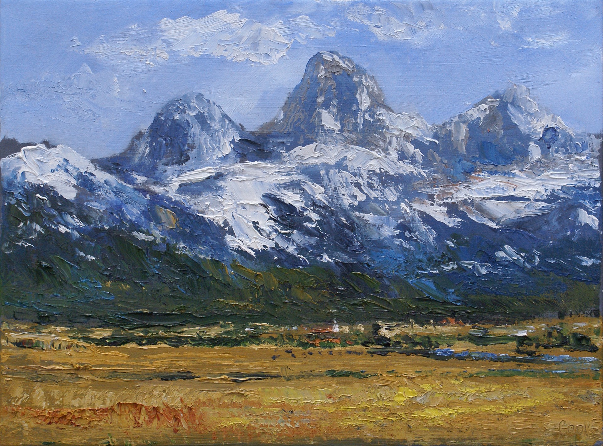 Teton Valley Study #4 by James Cook