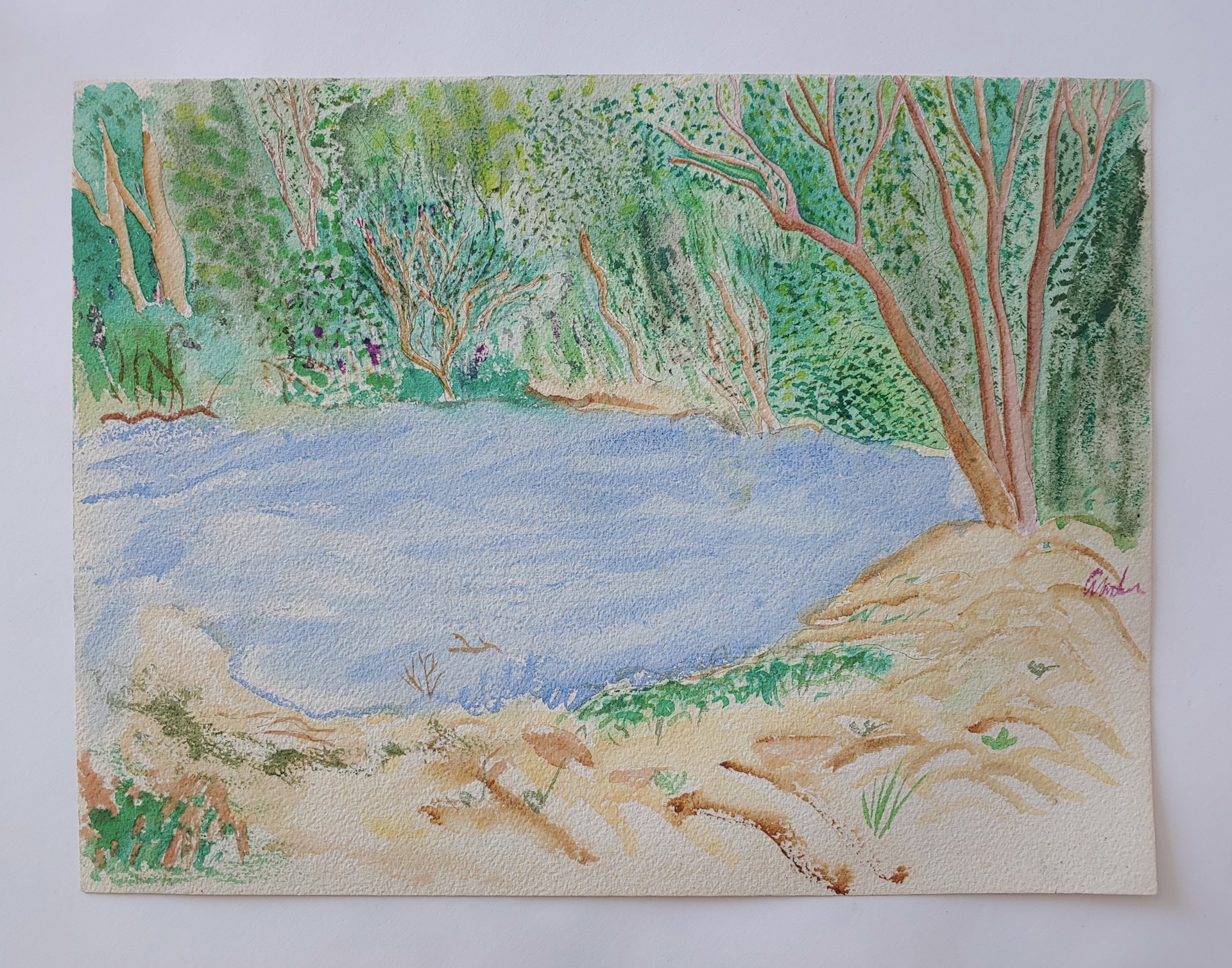 Pond - Watercolor/Ink by David Amdur