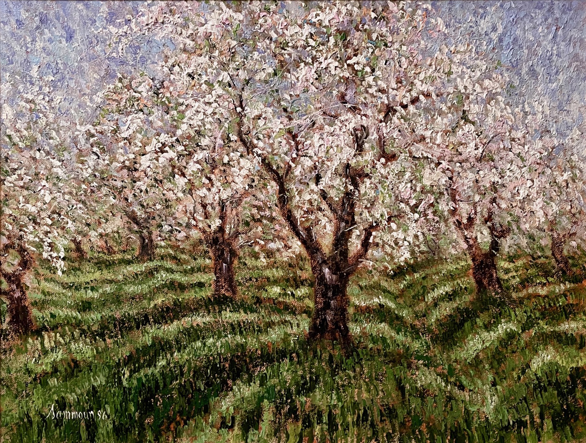 Verger en fleurs by Samir Sammoun
