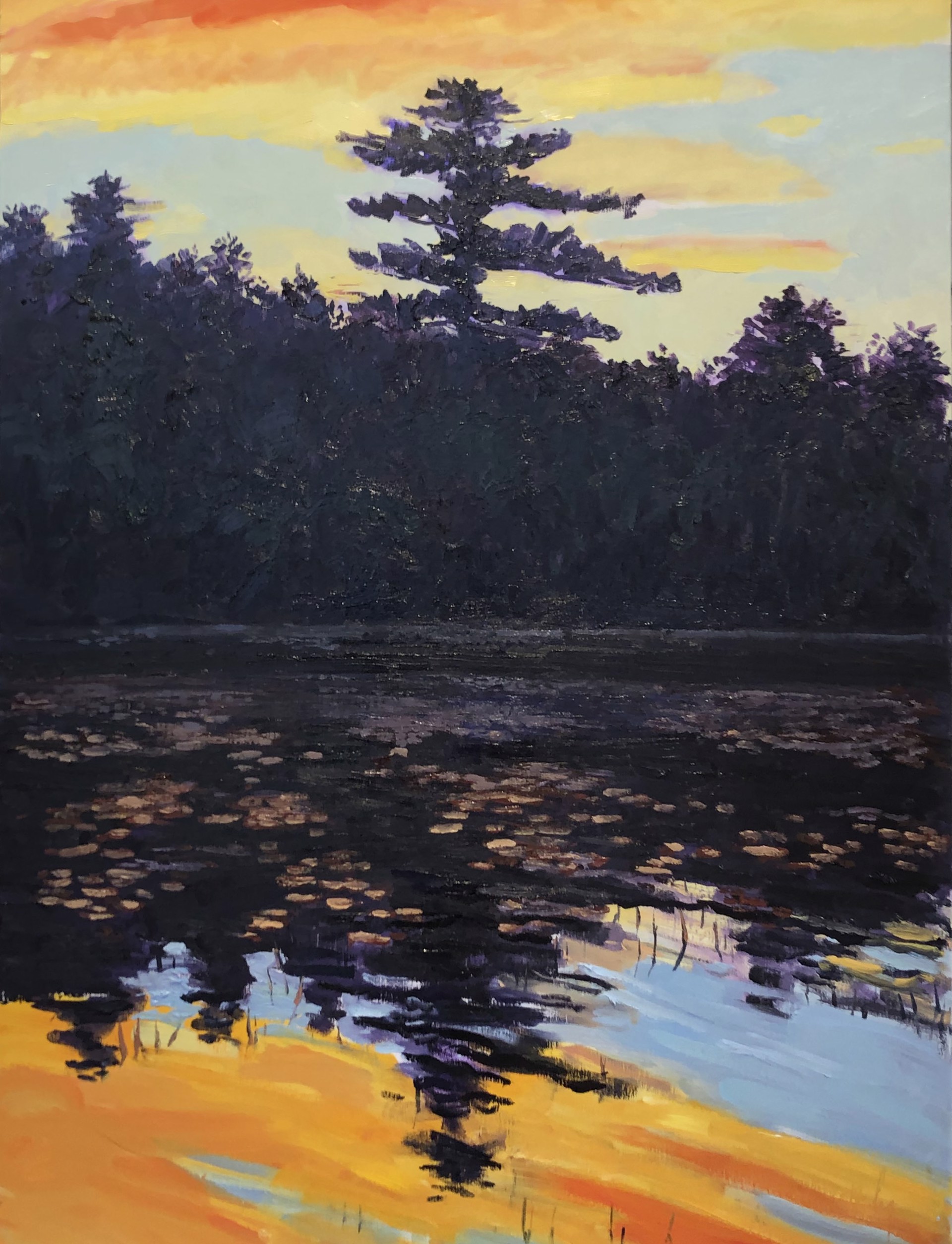 Pine Tree Sunset by Dan Daly