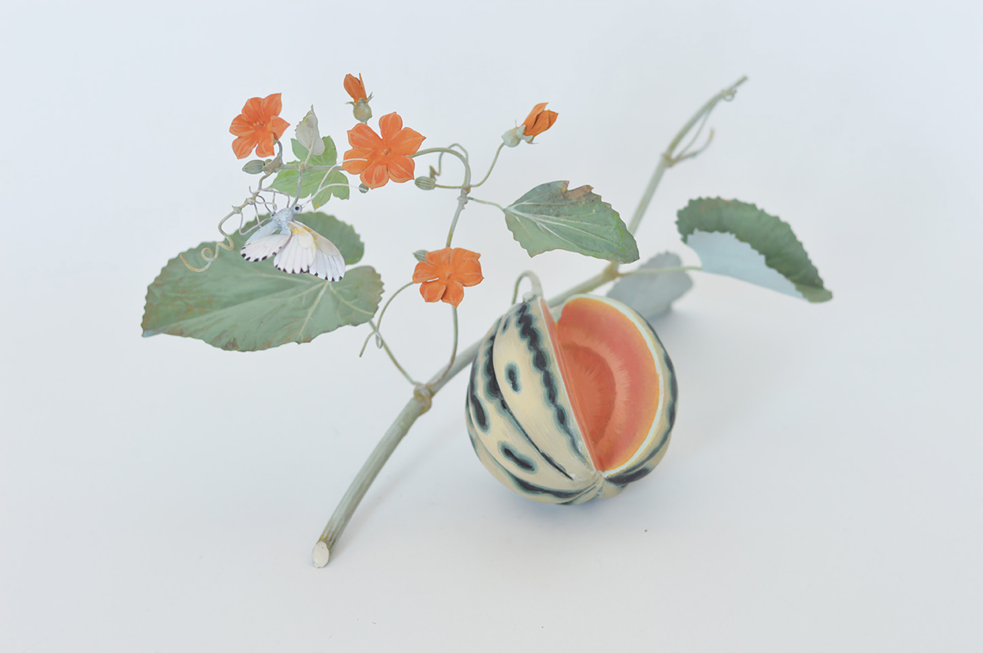 BROOKSHAW MELON WITH DOTTED BORDER BUTTERFLY by Carmen Almon