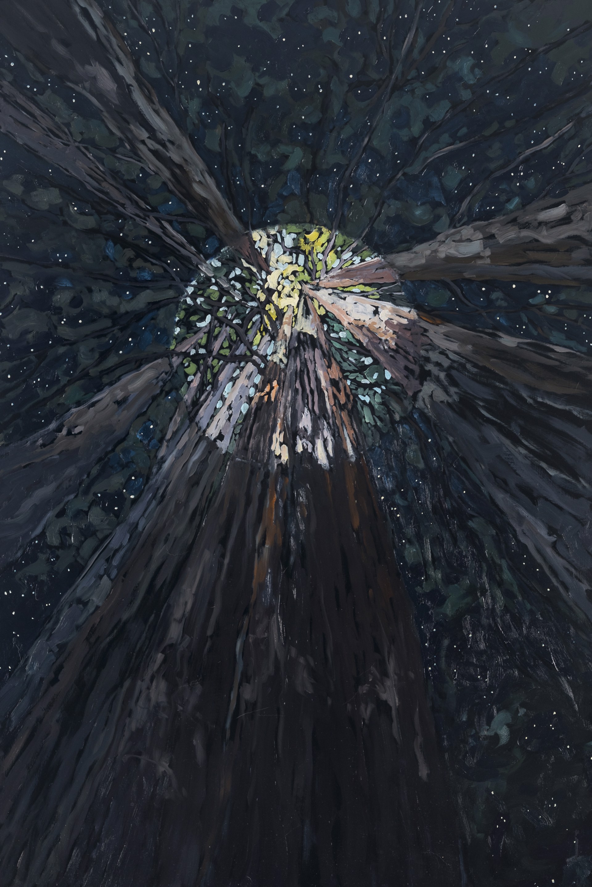 The Light Always Comes Back by Deb Komitor