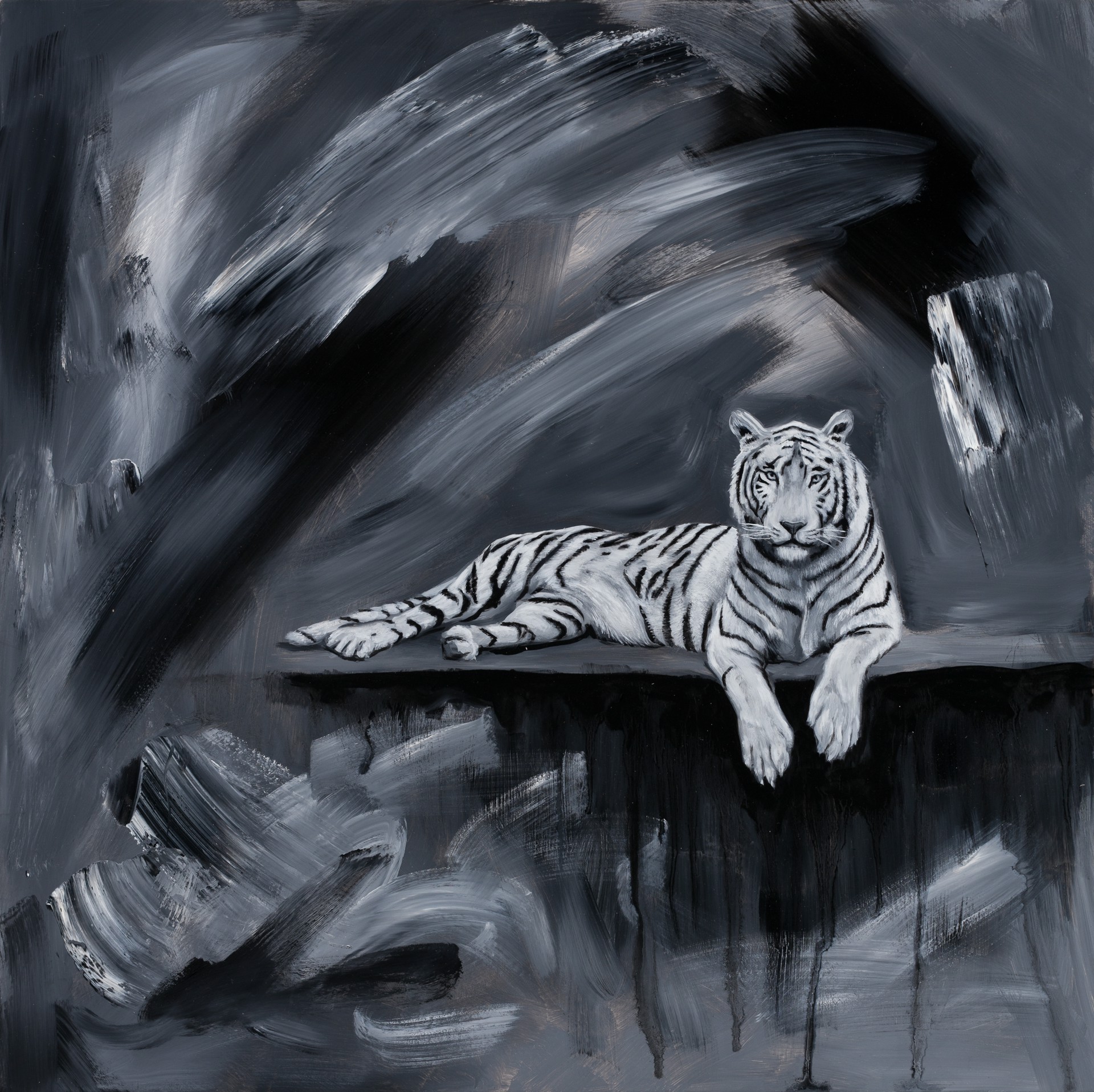 White tiger by Robin Hextrum