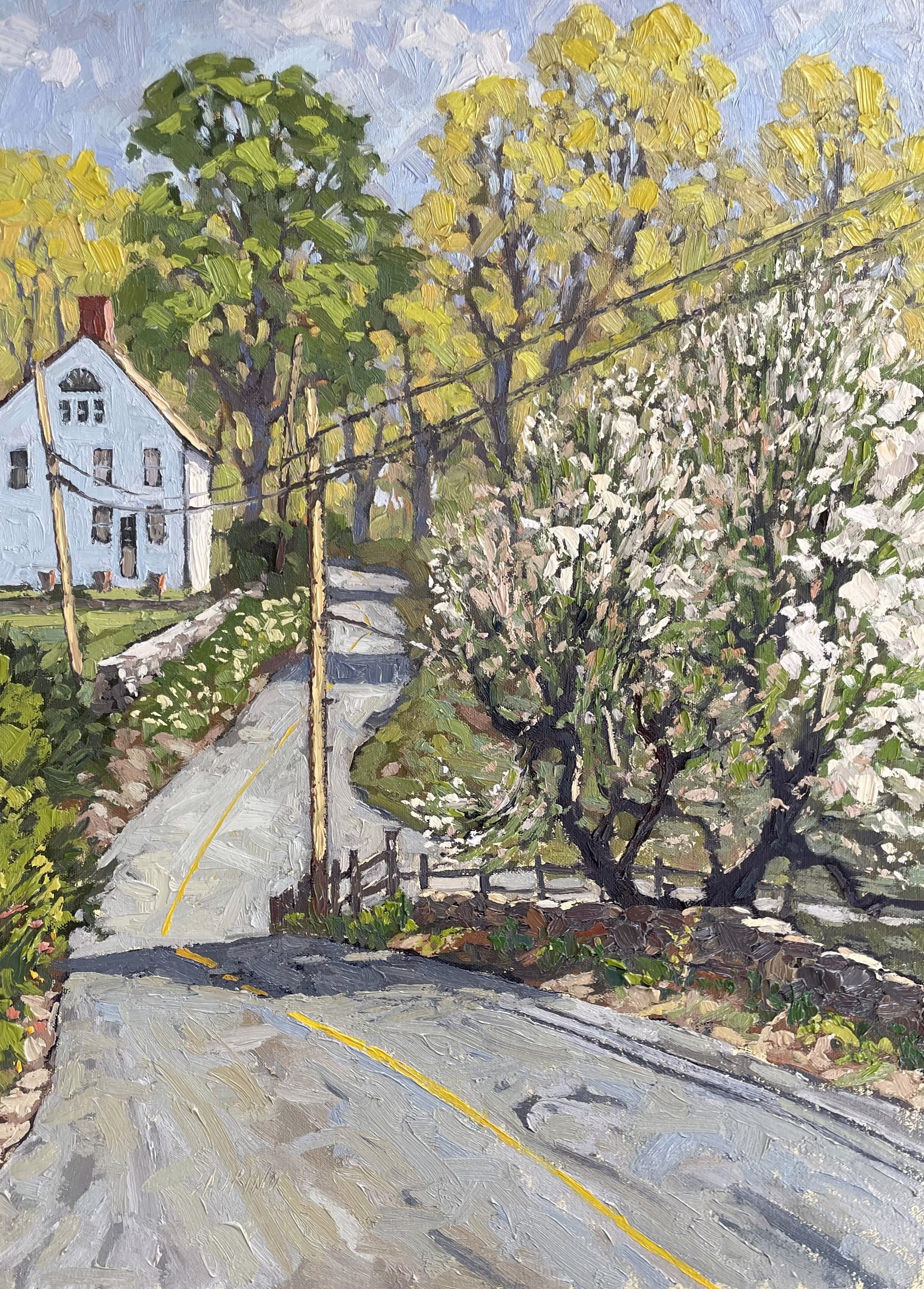 Roadside Bloom by Jim Laurino