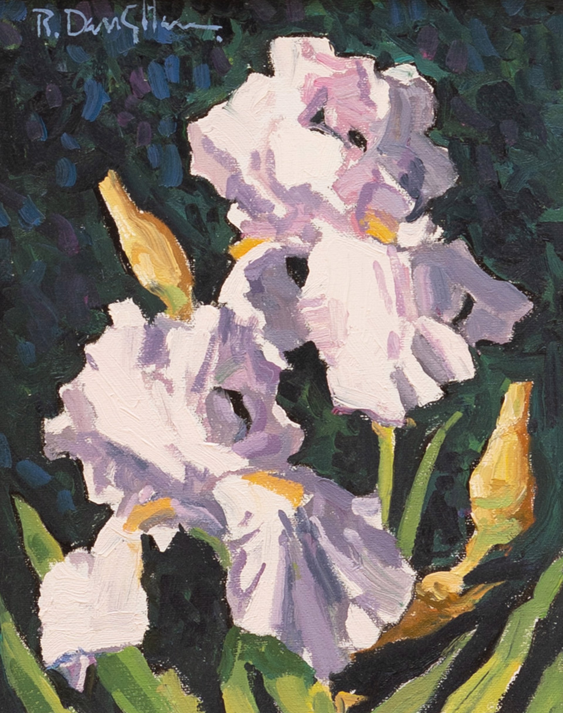 Lavender Iris by Robert Daughters (1929-2013)