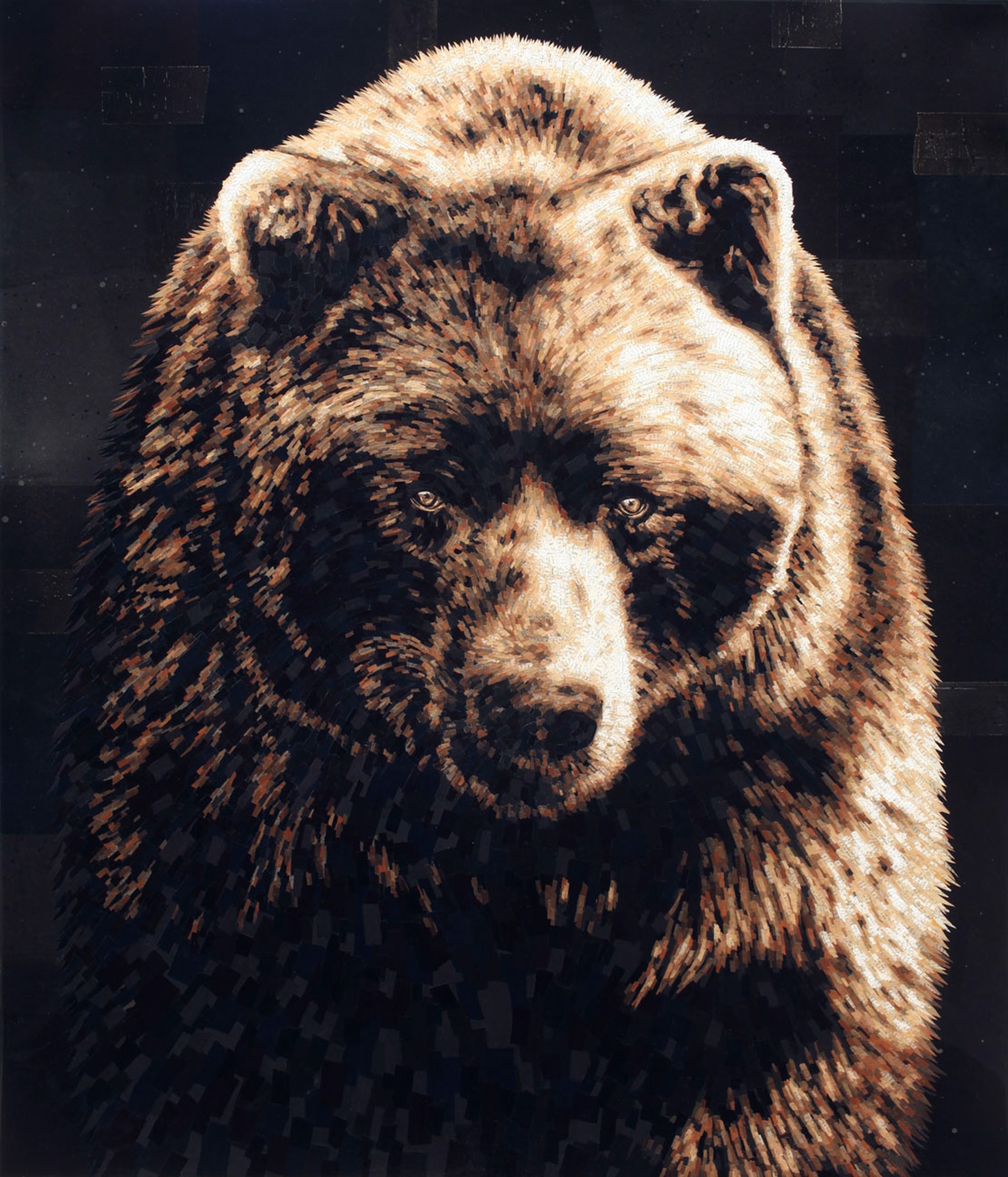 Bear II by Jay Kelly
