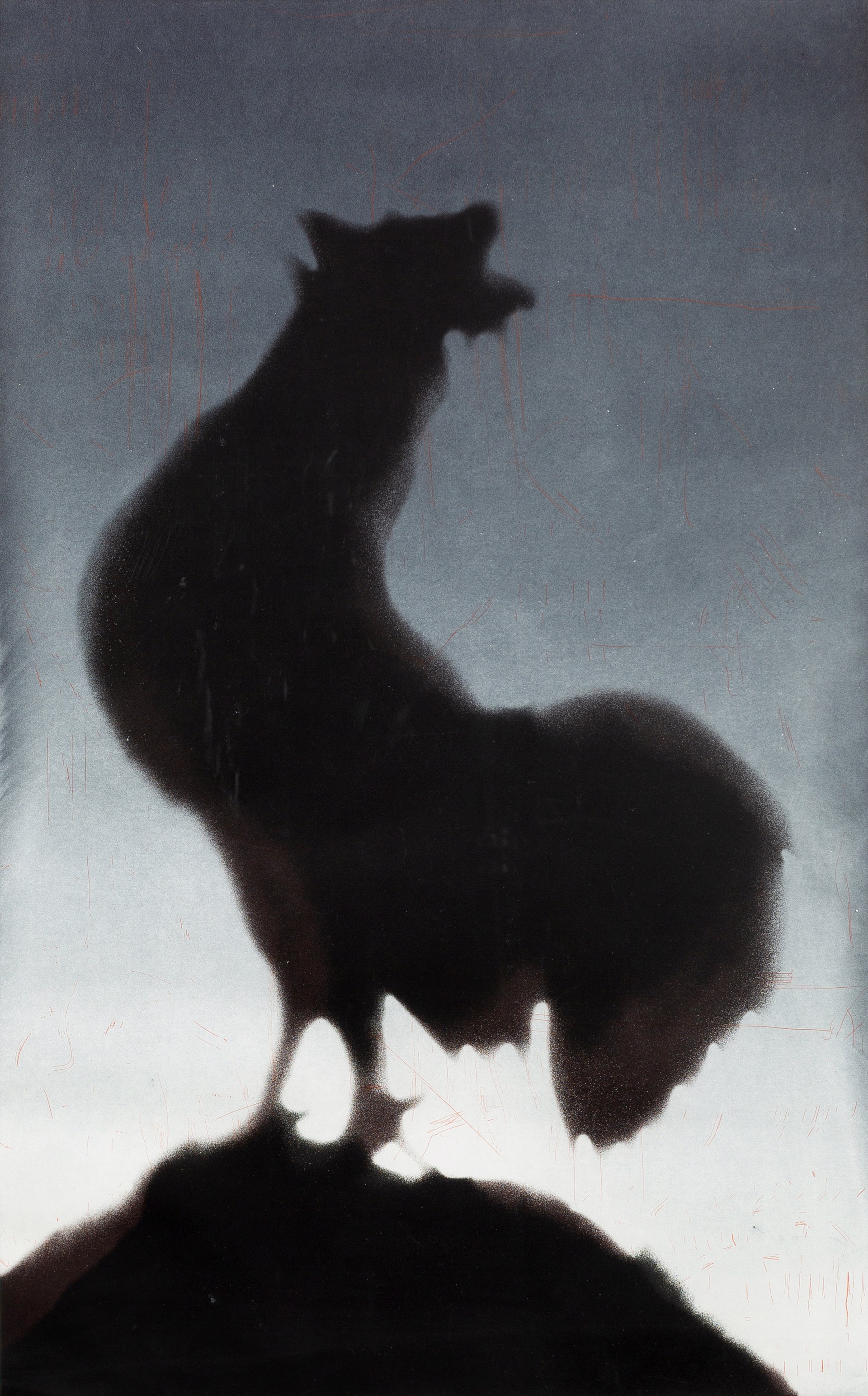 Rooster by Ed Ruscha
