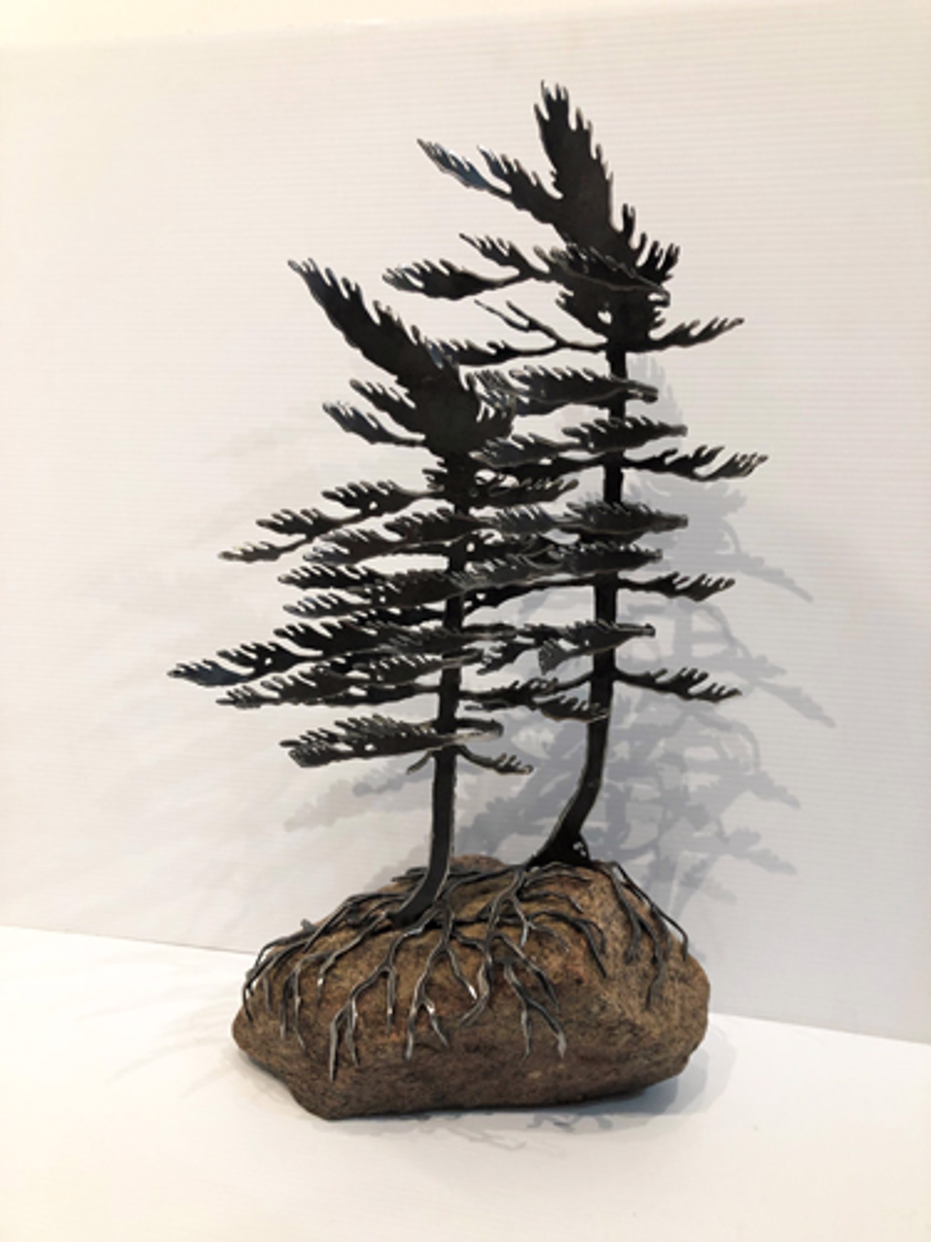 Two Windswept Pine 659497 by Cathy Mark