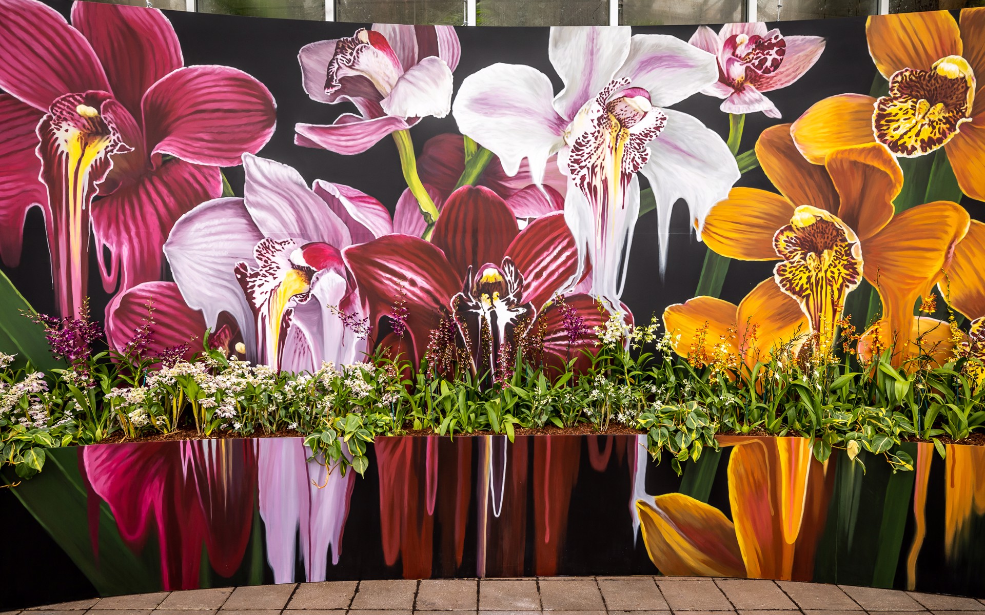 Orchid Daze at the Atlanta Botanical Garden by Niki Zarrabi, Mural