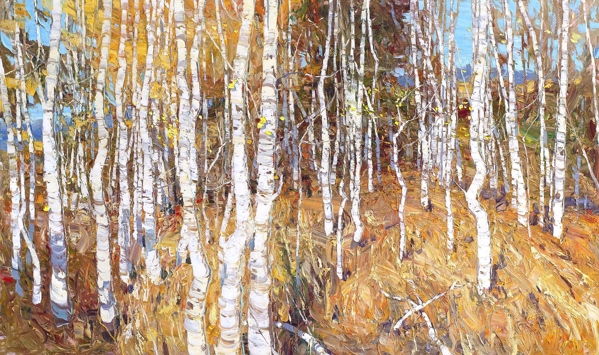Original Oil Painting Featuring Dense Fall Aspen Trees With Blue Sky Peaking Through Tree Trunks