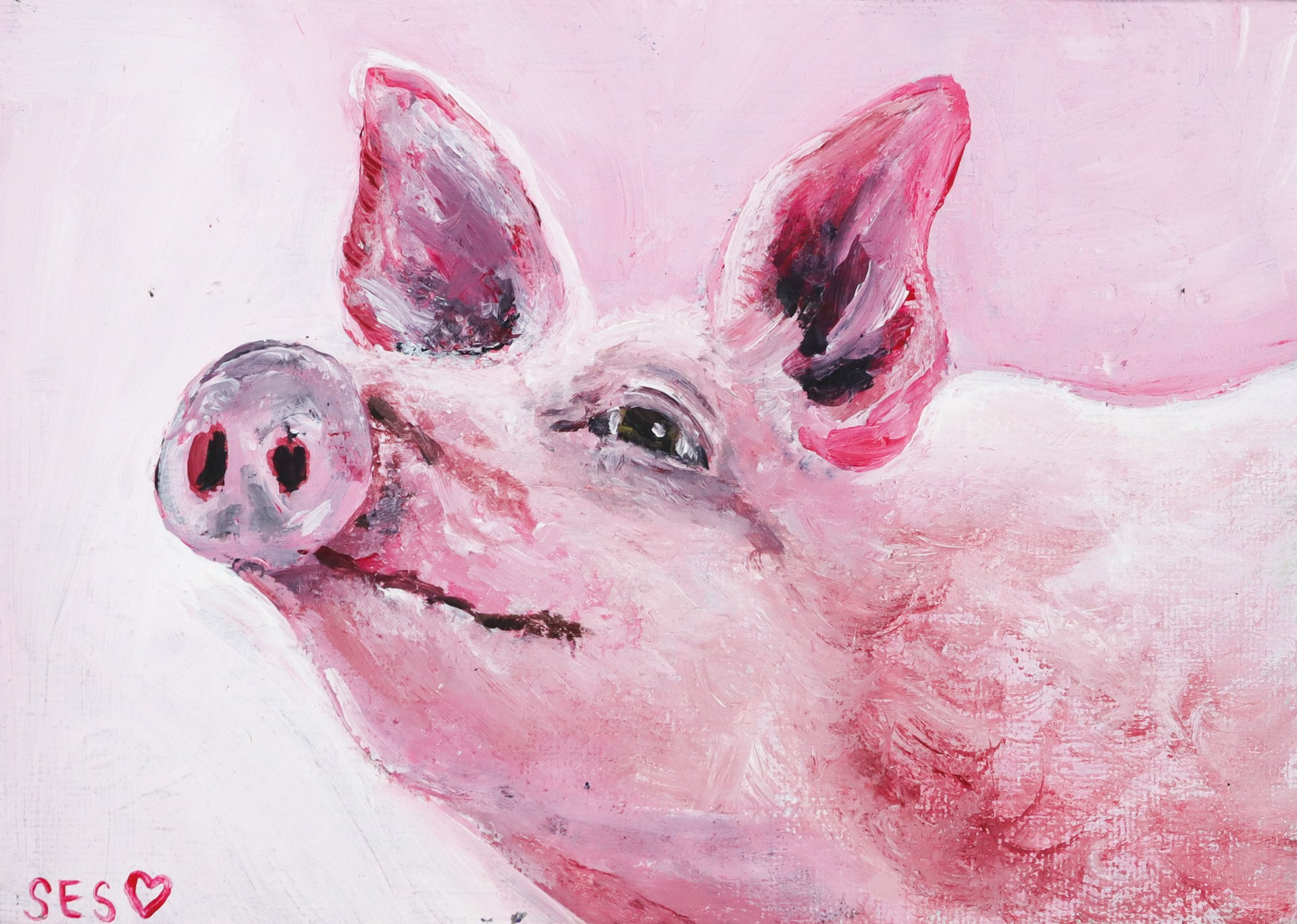 Radiant Pig by Sarah Swan