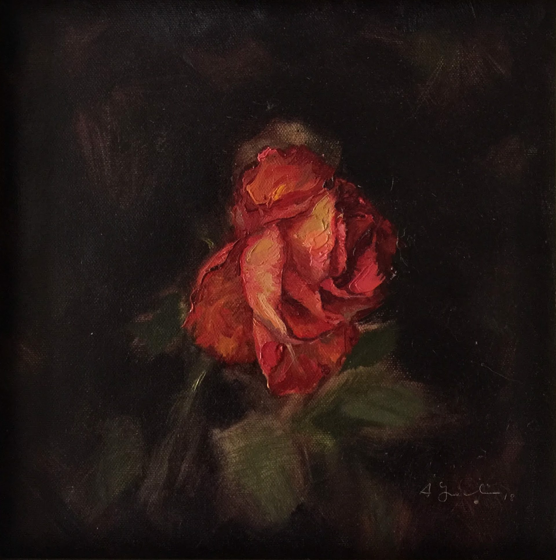 Portrait of a Rose 1 by Agnes Grochulska