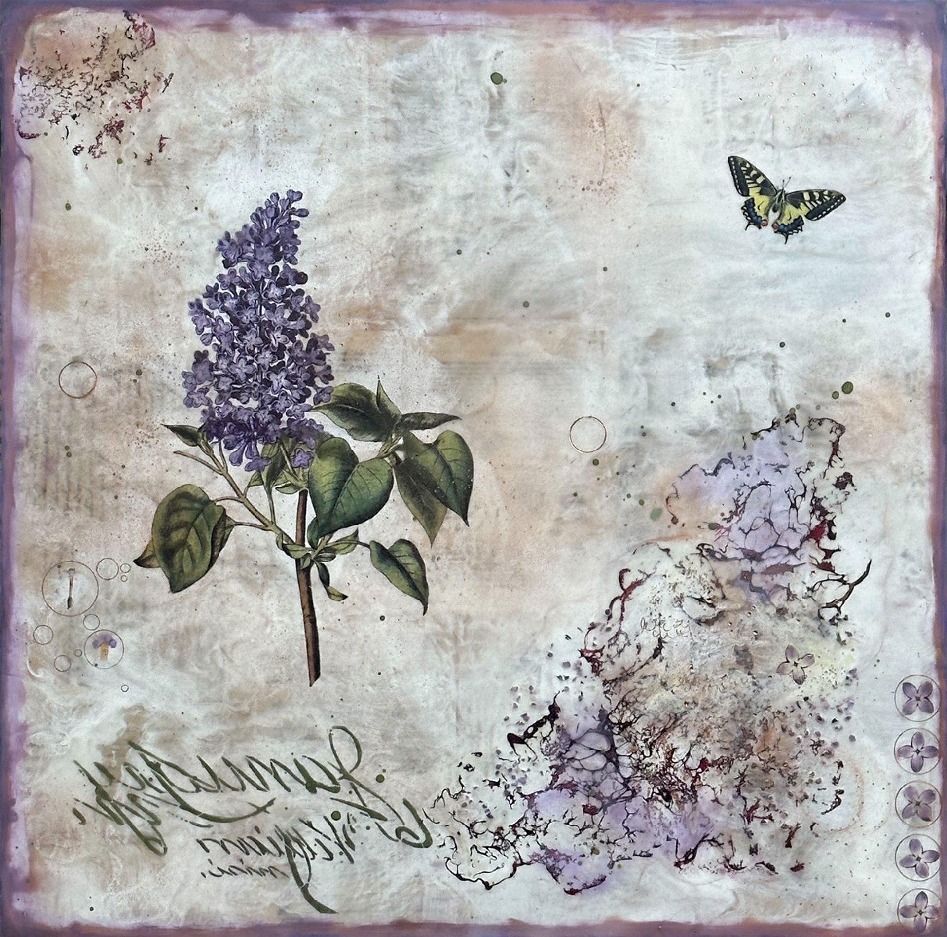 Lilac by Shannon Amidon