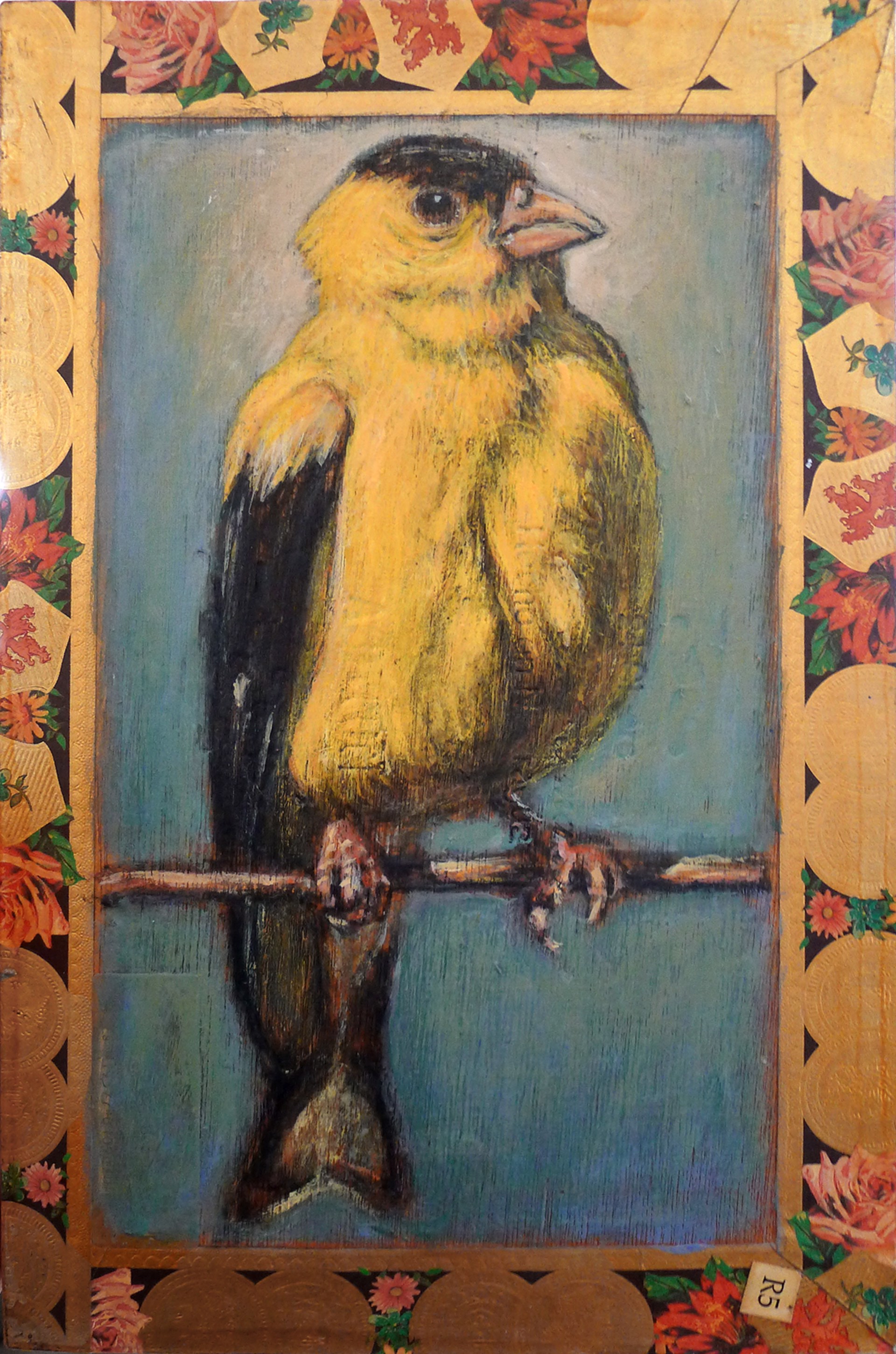 Goldfinch / San Cristobal by Ed Musante