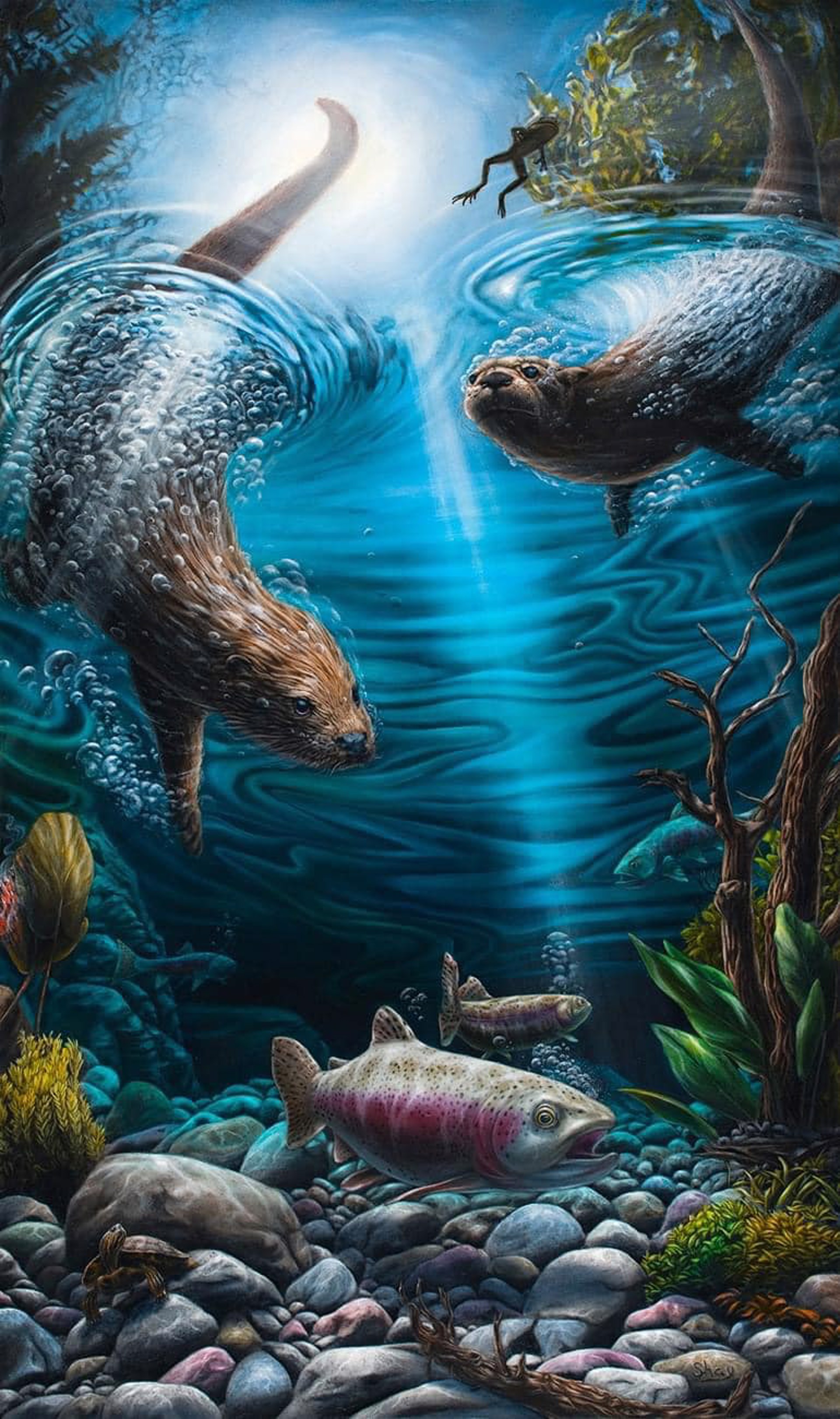 Otter Pops by Shay Davis