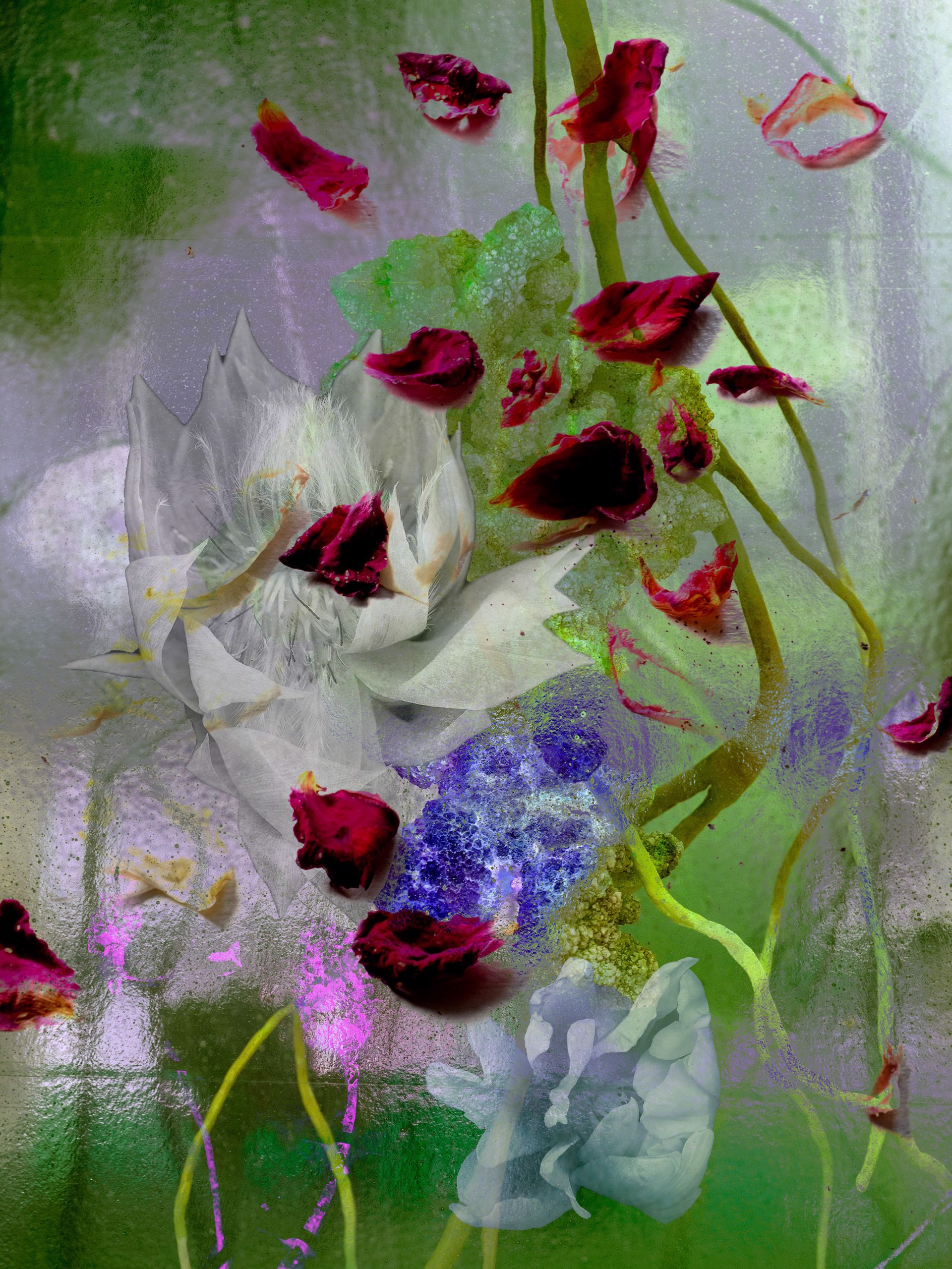 FLOWERS SERIES I NO. 8 by CAROL EISENBERG