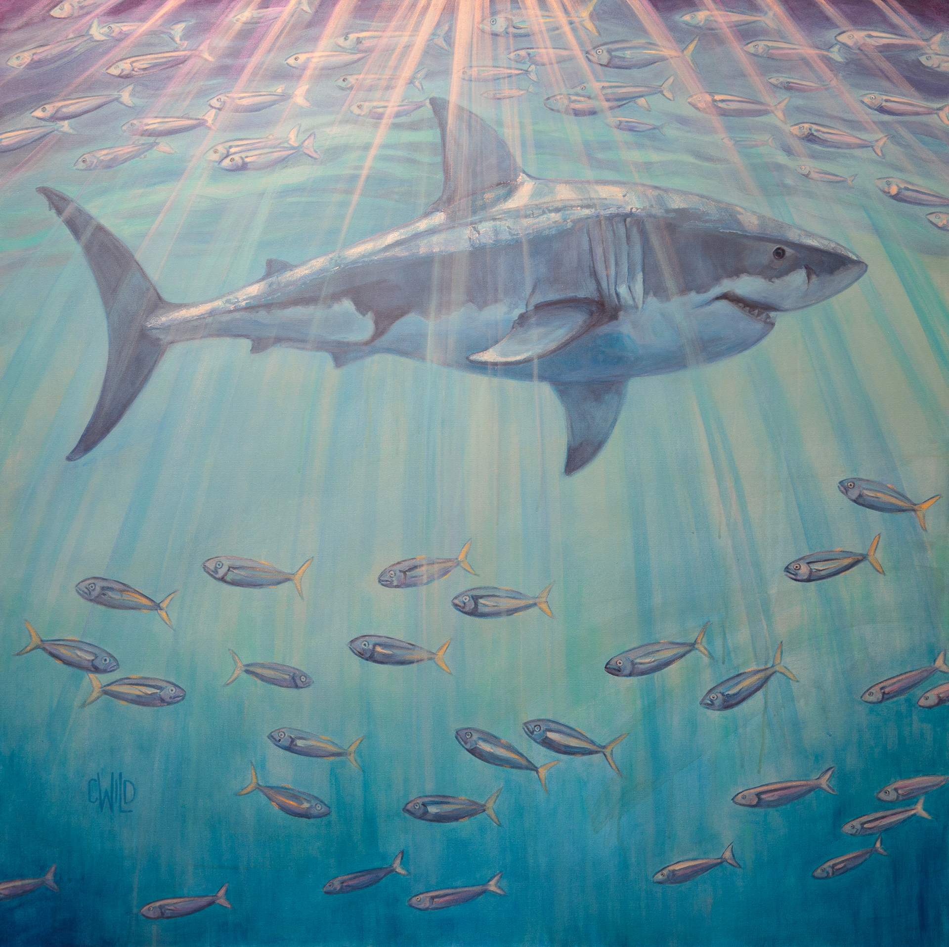 Acrylic And Silver Leaf Painting Of A Great White Shark Swimming Through A School Of Fish With Bright Light Rays Coming Down, Contemporary Fine Art By Carrie Wild