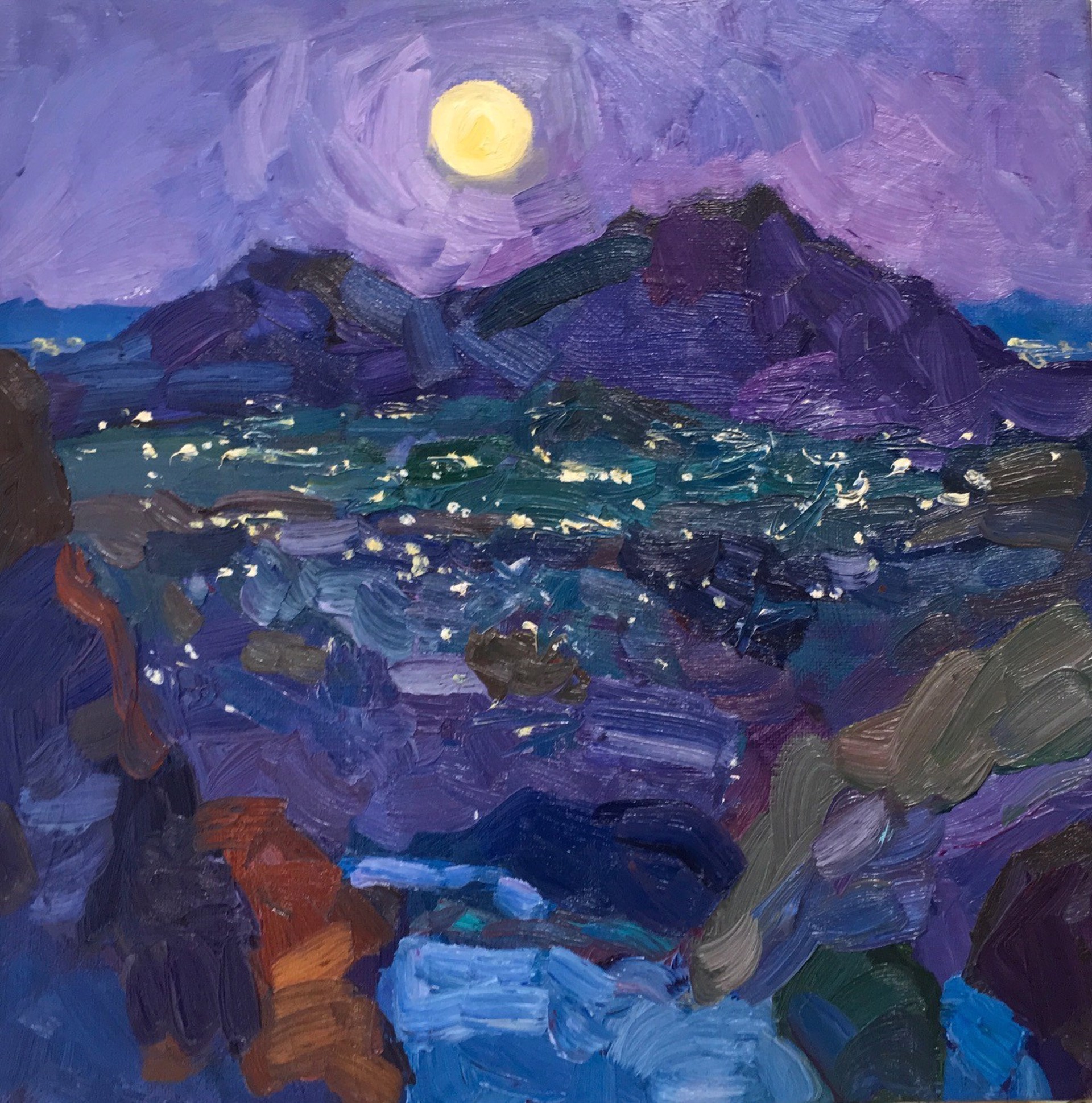 North View Camelback by Larisa Aukon